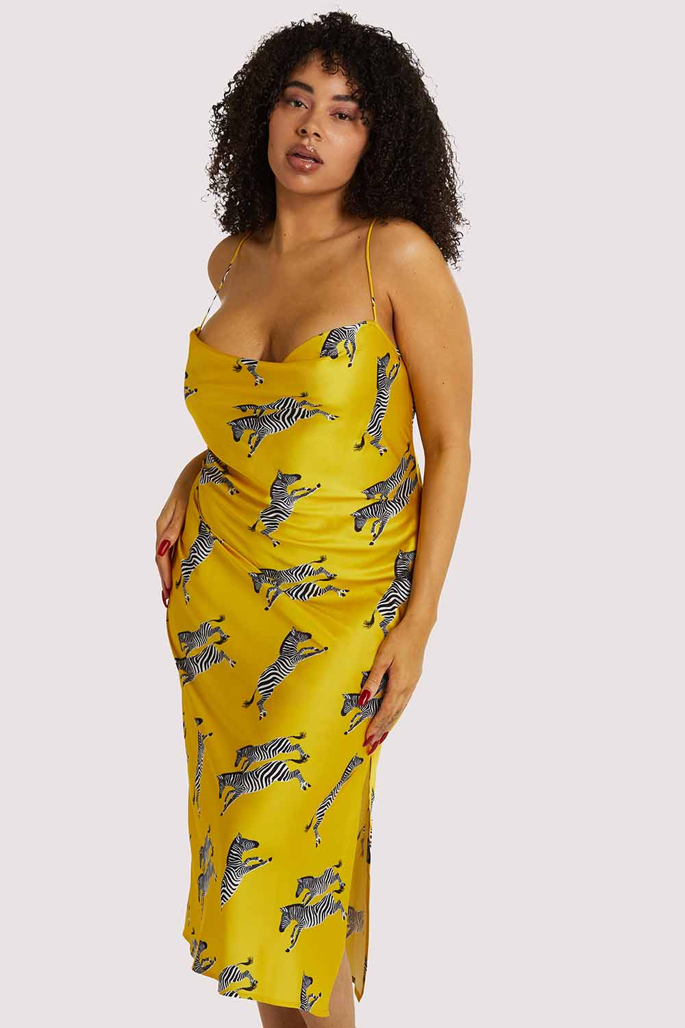 Kilo Brava EXCLUSIVE Mustard Zebra Dress - Image 4