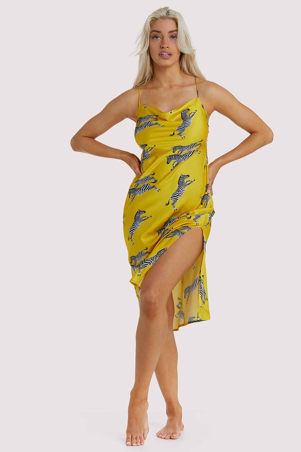 Kilo Brava EXCLUSIVE Mustard Zebra Dress - Image 5