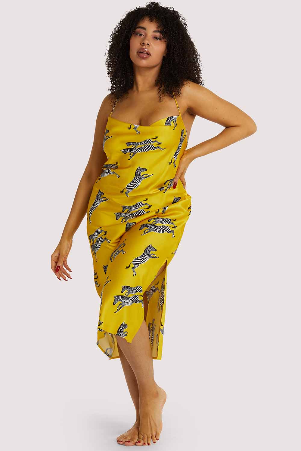 Kilo Brava EXCLUSIVE Mustard Zebra Dress - Image 6