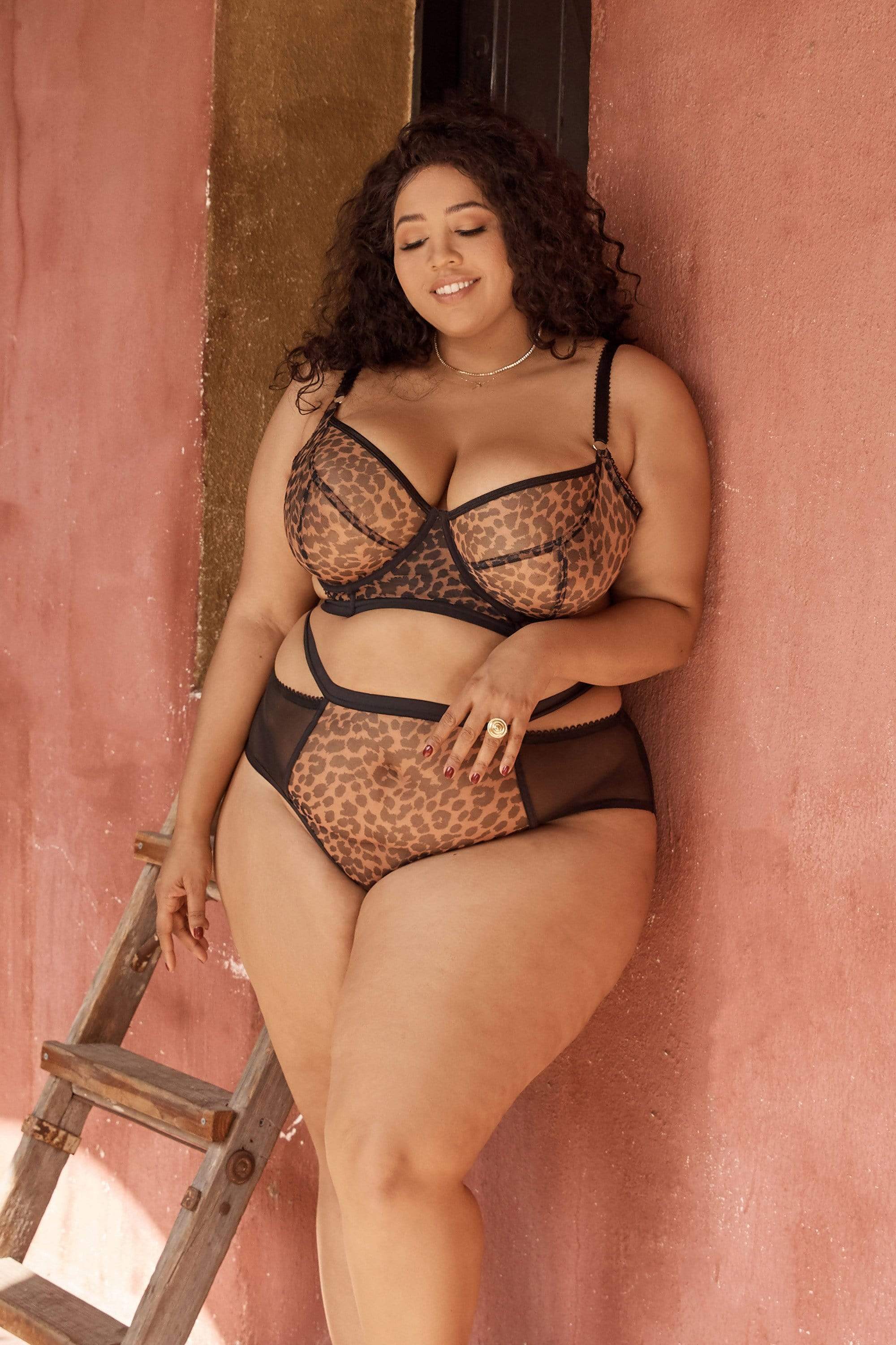 Gabi Fresh Alexis Leopard Print Mesh Cut Out Brief - Image 3