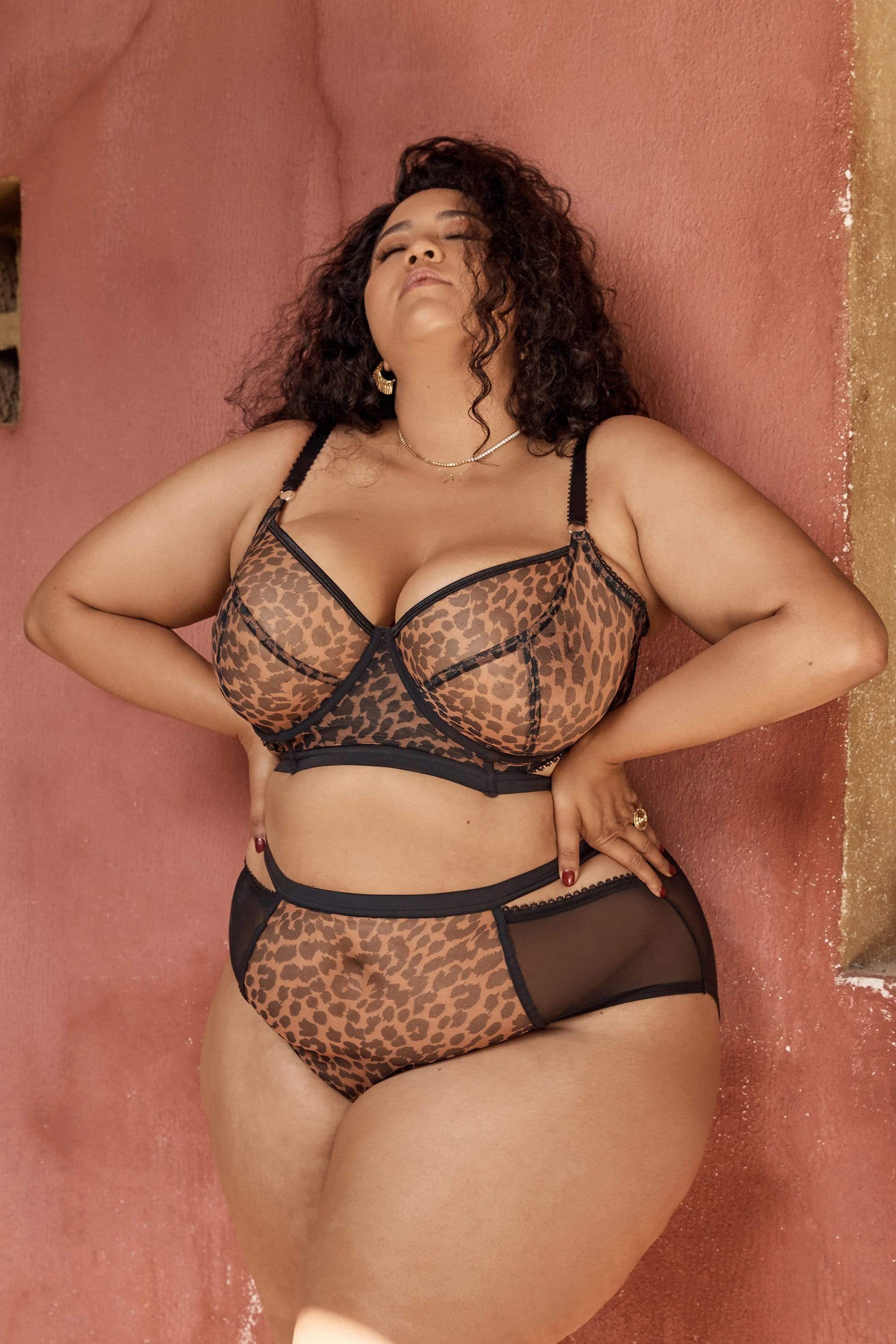 Gabi Fresh Alexis Leopard Print Mesh Cut Out Brief - Image 4