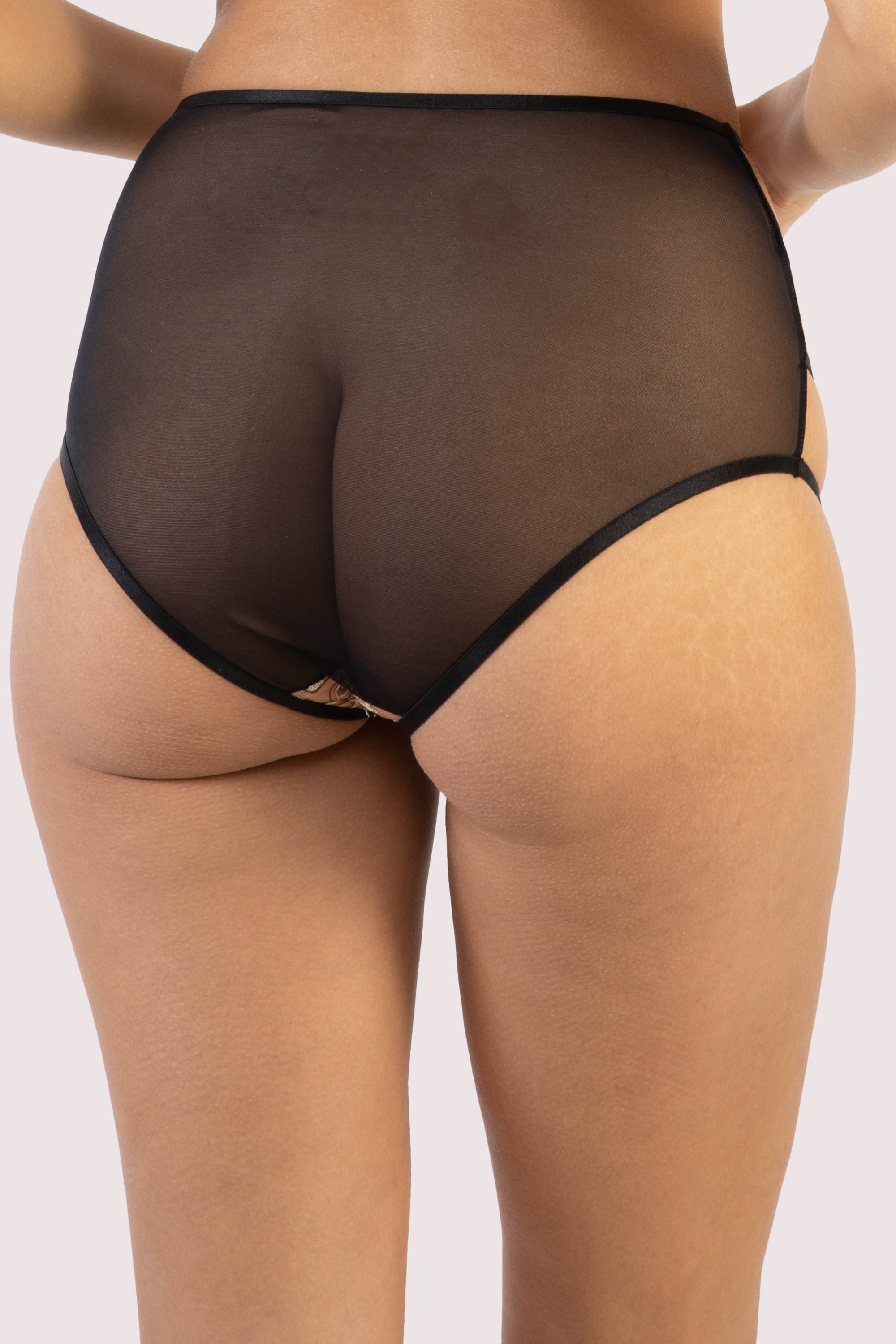 Anna Mystical Embroidery High Waisted Brief - Image 2