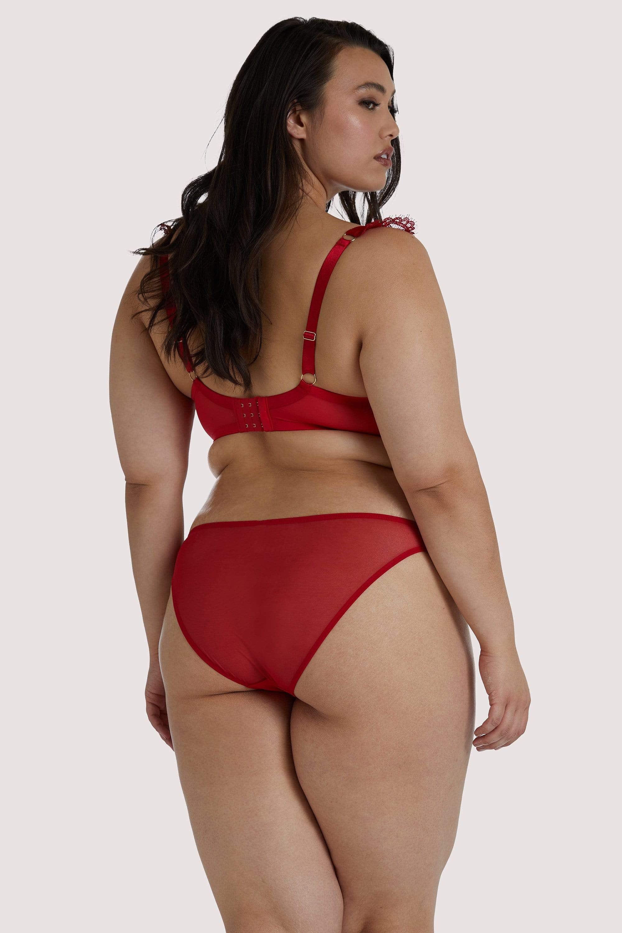 Anneliese Red Satin Net and Lace Bra - Image 15