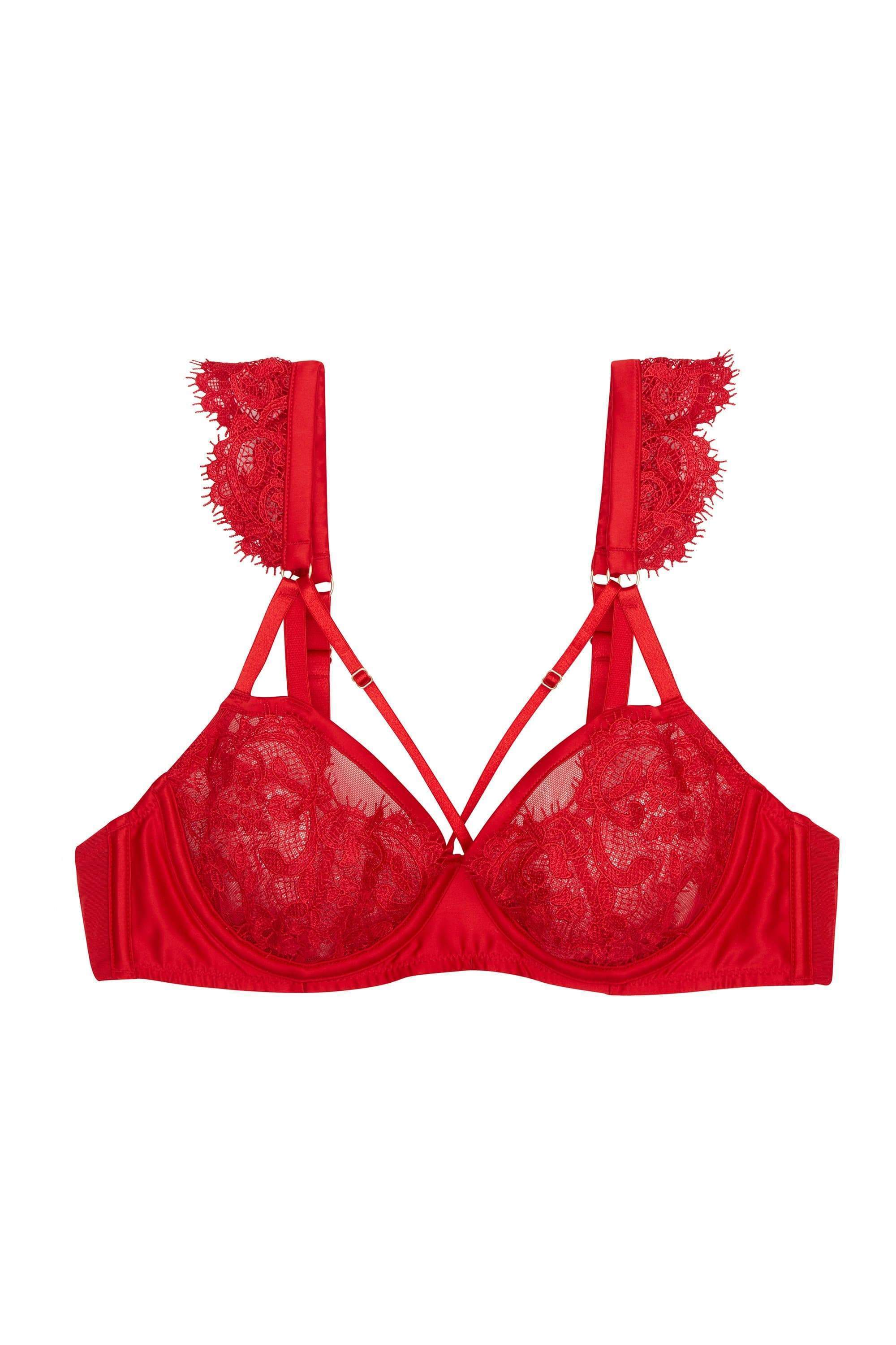 Anneliese Red Satin Net and Lace Bra - Image 4