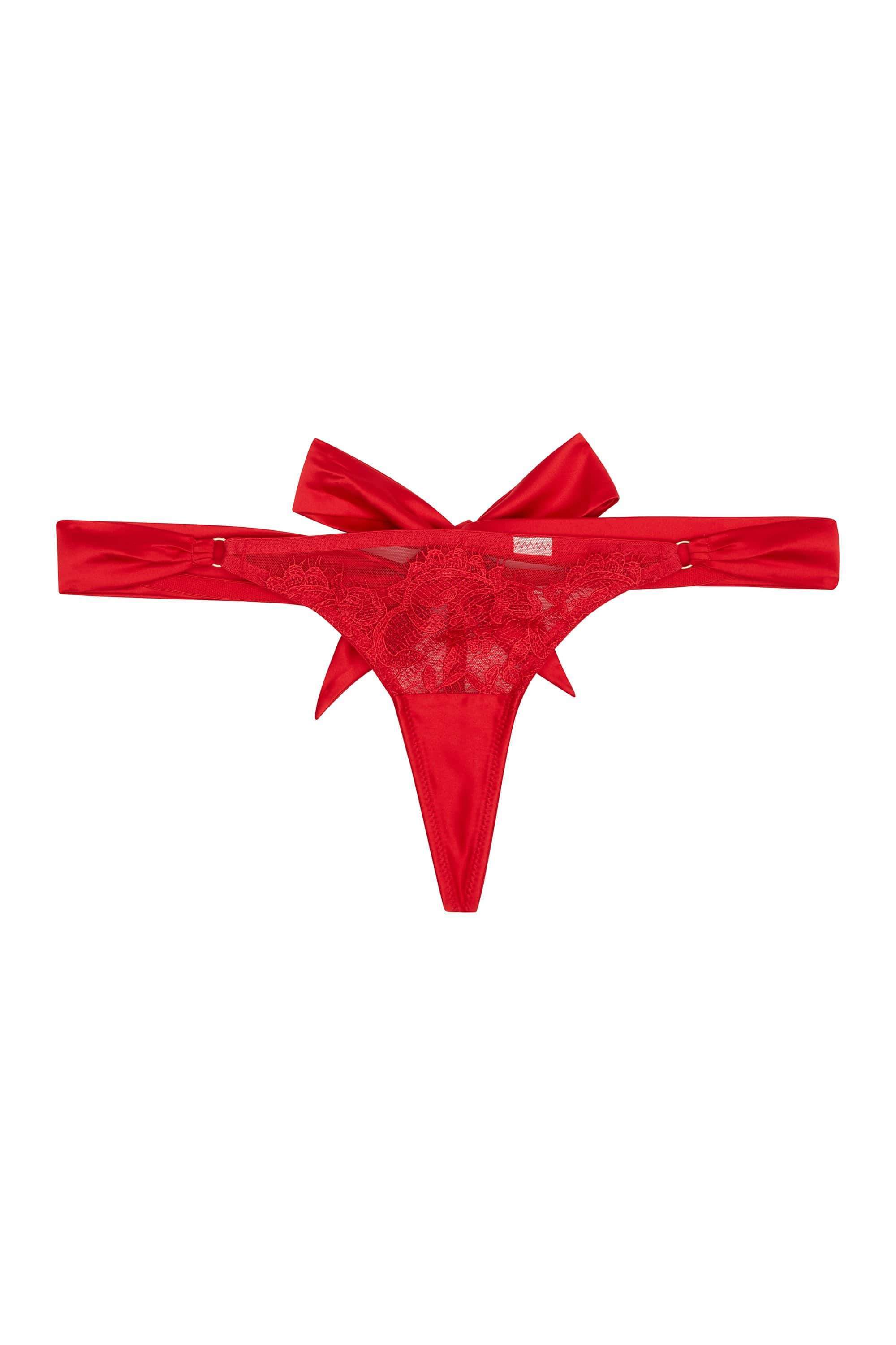 Anneliese Red Satin Net and Lace Thong - Image 10