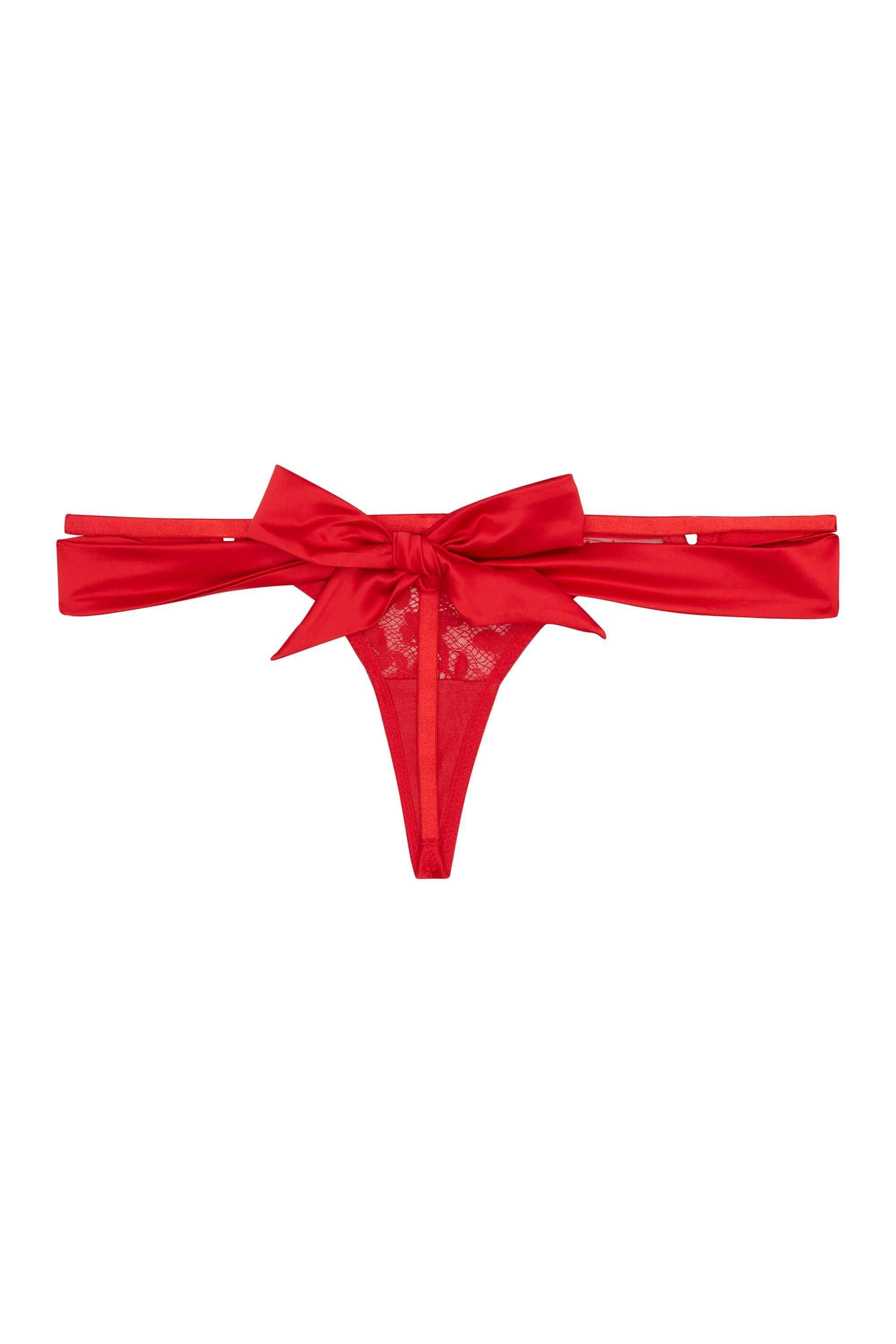 Anneliese Red Satin Net and Lace Thong - Image 6