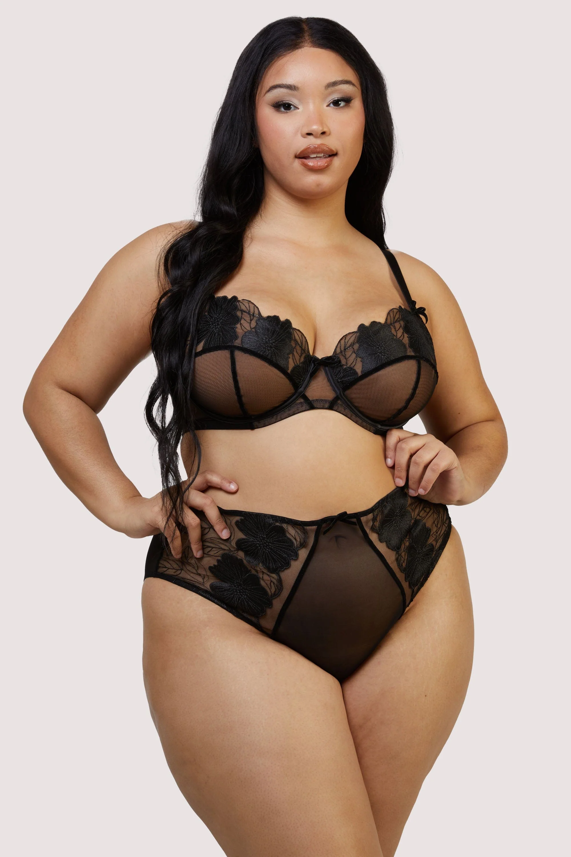 Annika Black Mesh and Embroidered High Waisted Brief - Image 3