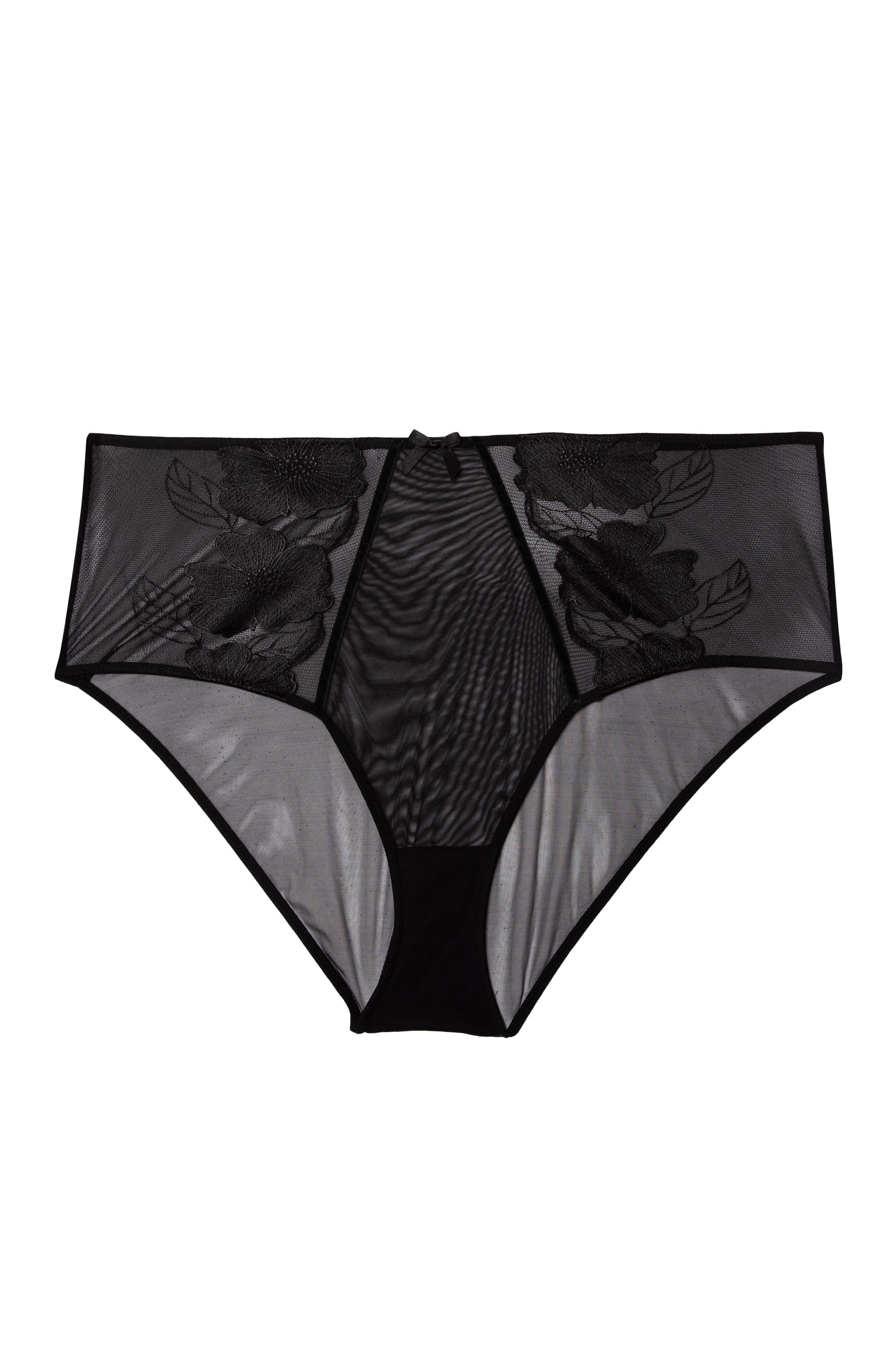 Annika Black Mesh and Embroidered High Waisted Brief - Image 4