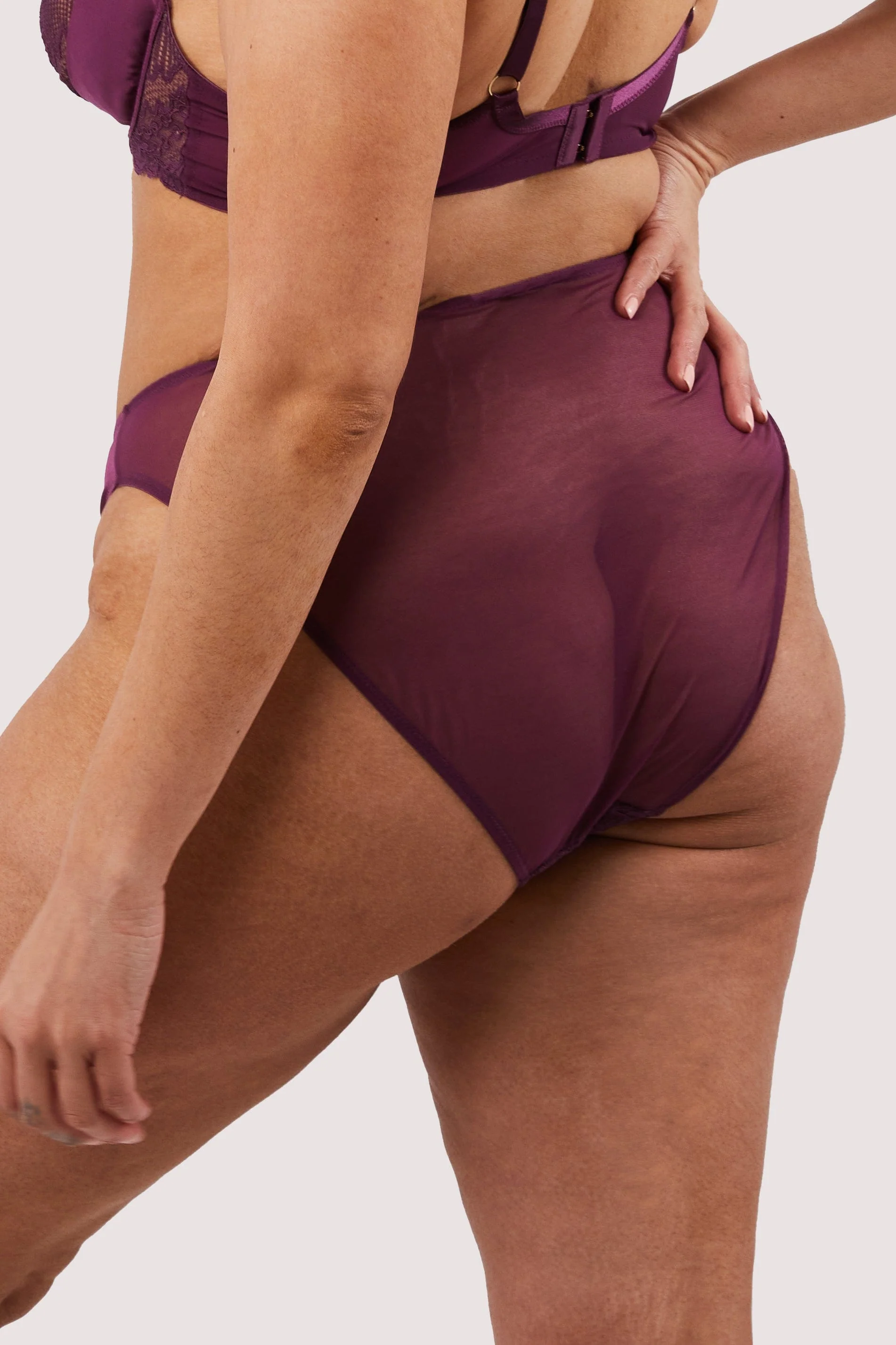 Astrid Merlot Lace And Trim Brief - Image 4