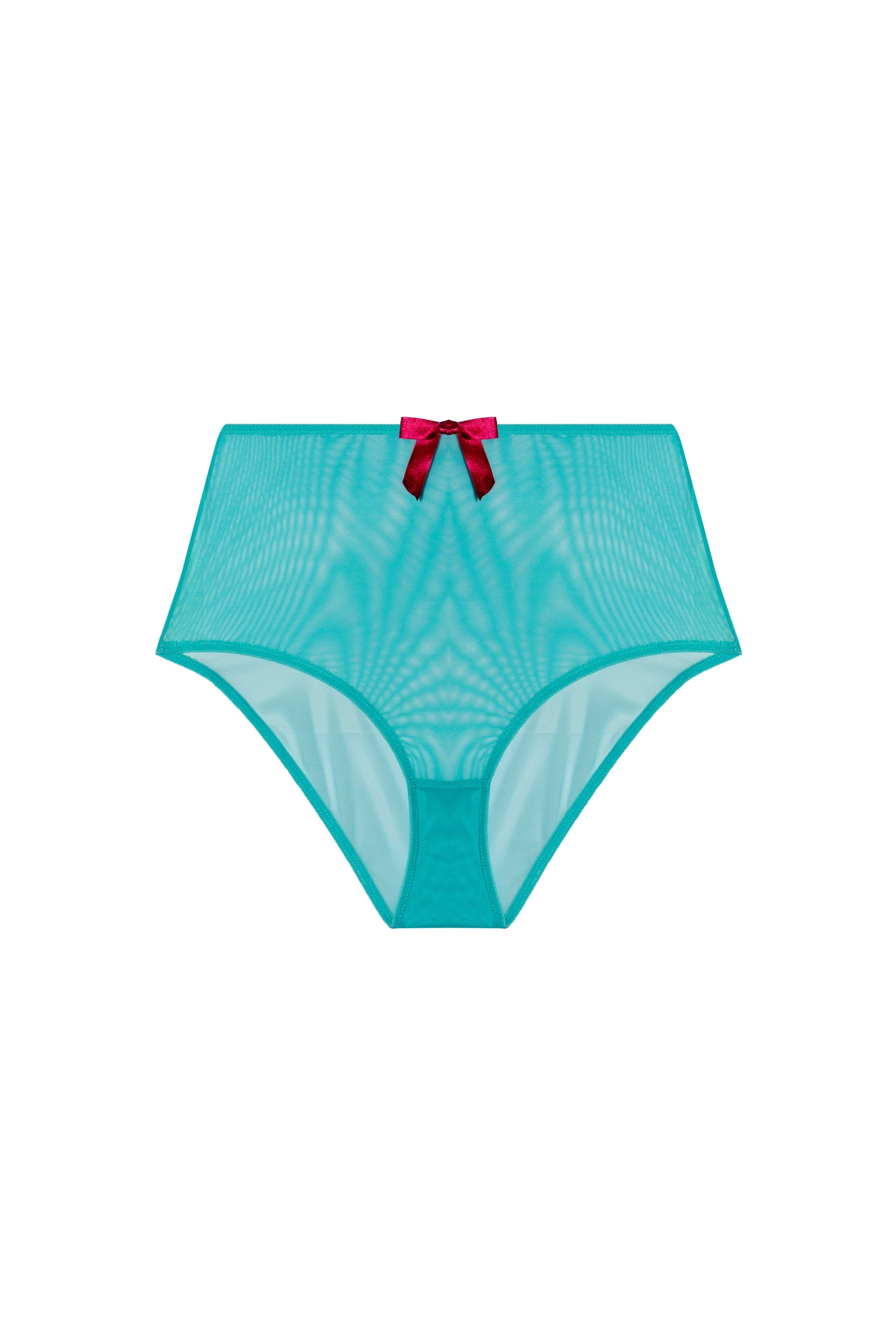 Cleo Contrast Stitch Mesh Retro High Waisted Brief - Image 4