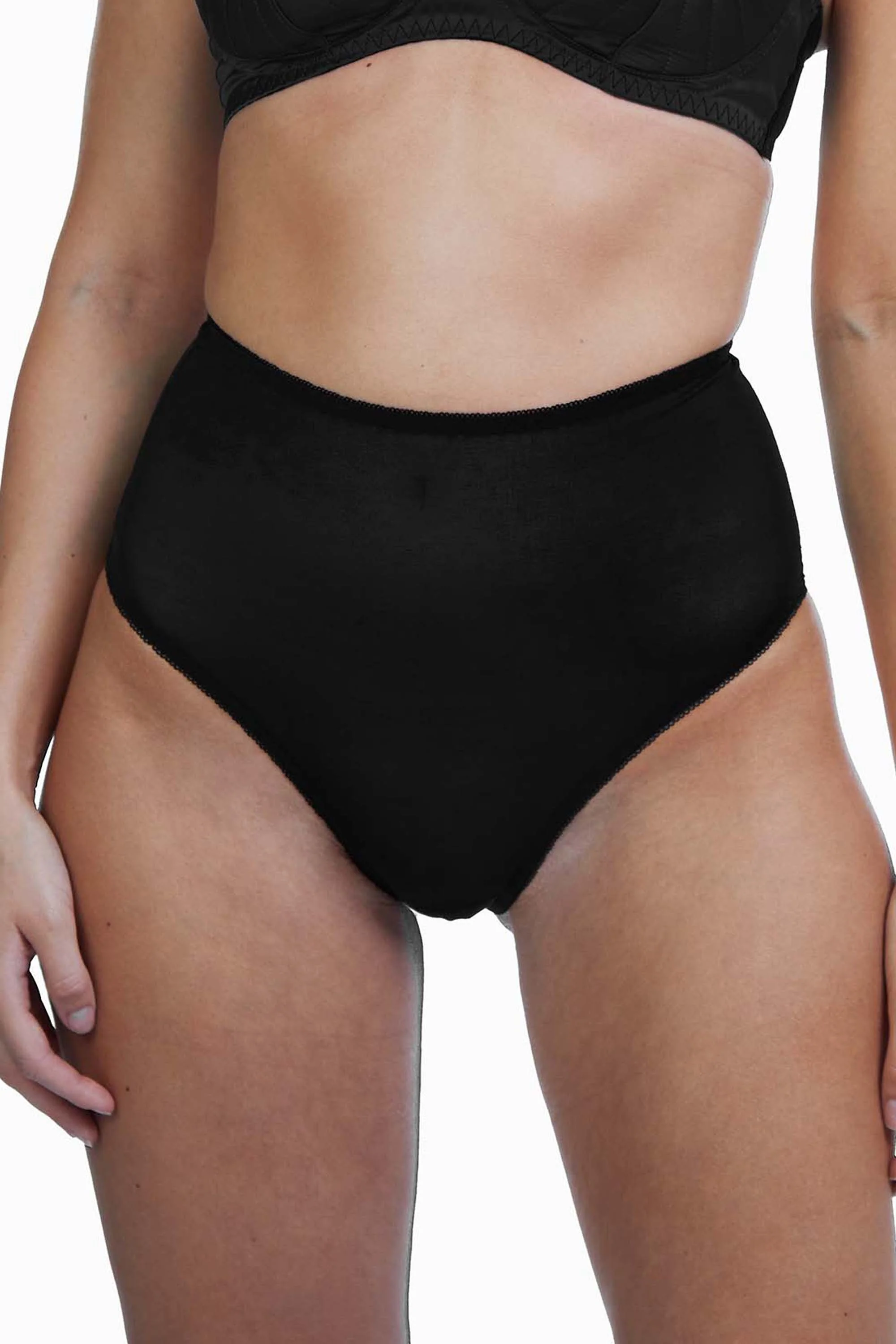 Bettie Page Mesh Classic Brief - Image 3