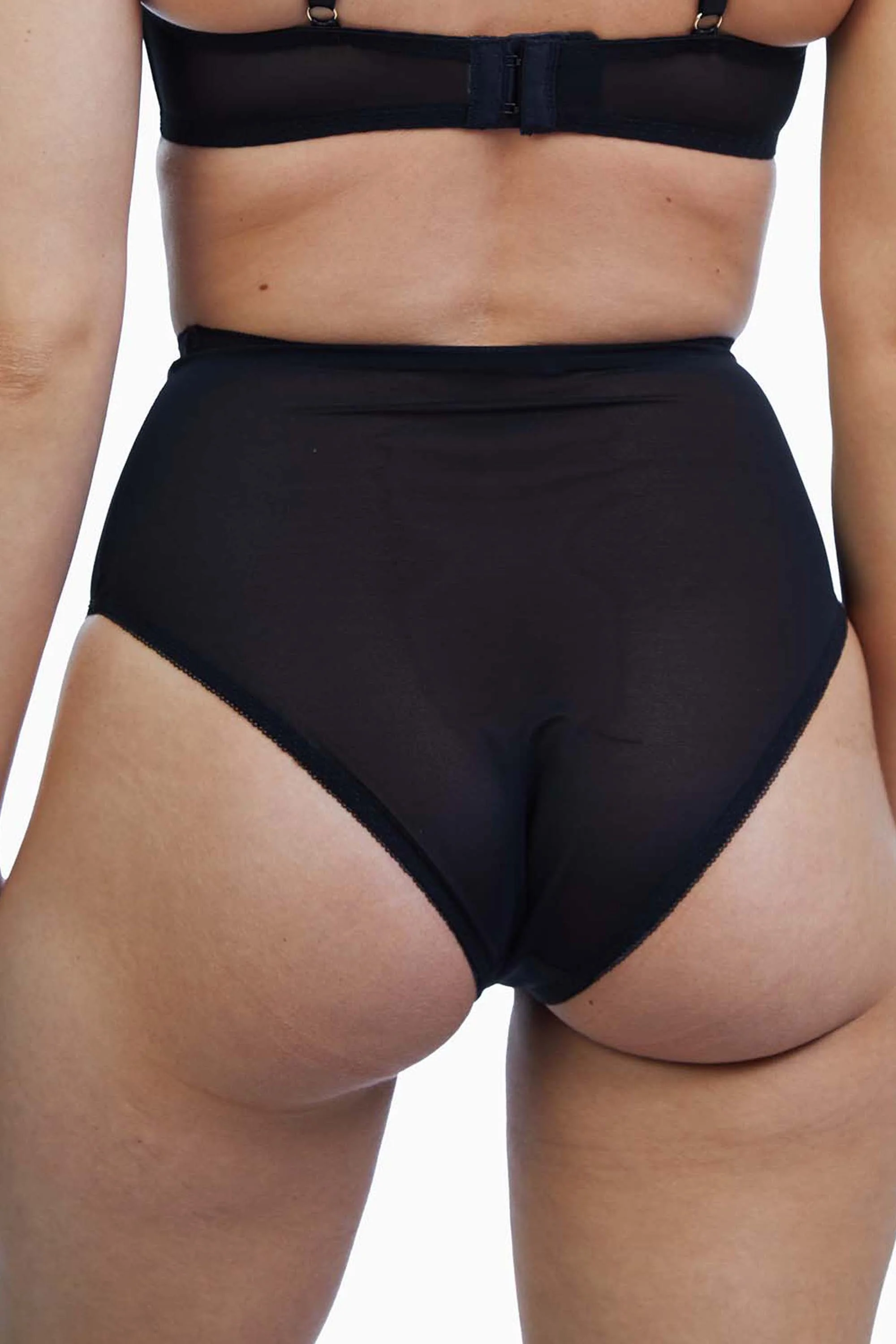Bettie Page Mesh Classic Brief - Image 4