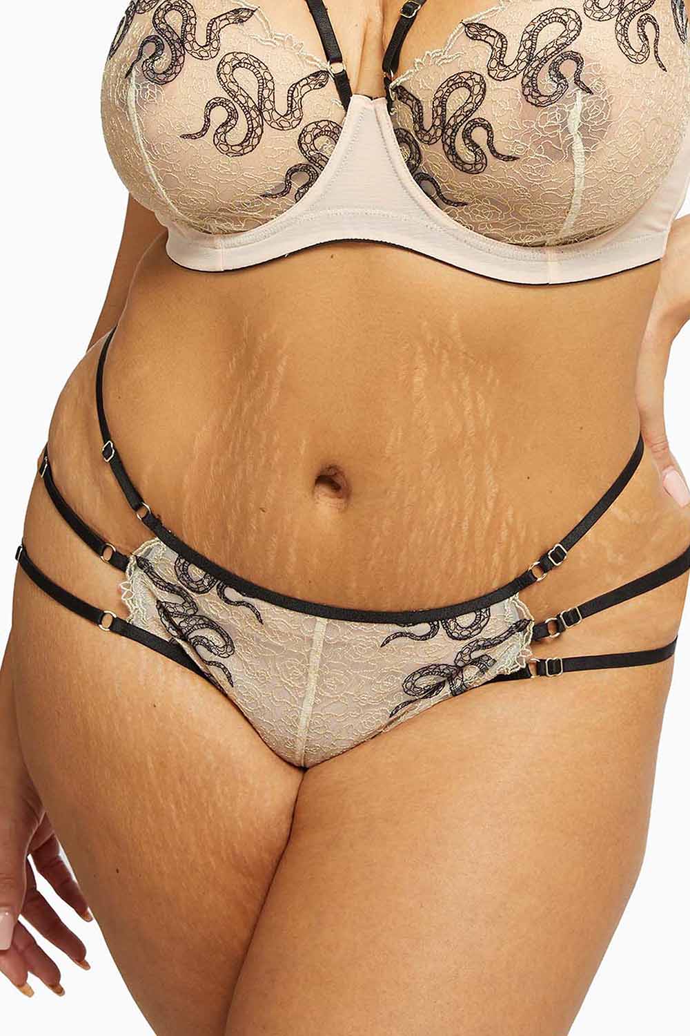 Dakota Snake Brief with Ring Details and Straps - Image 6