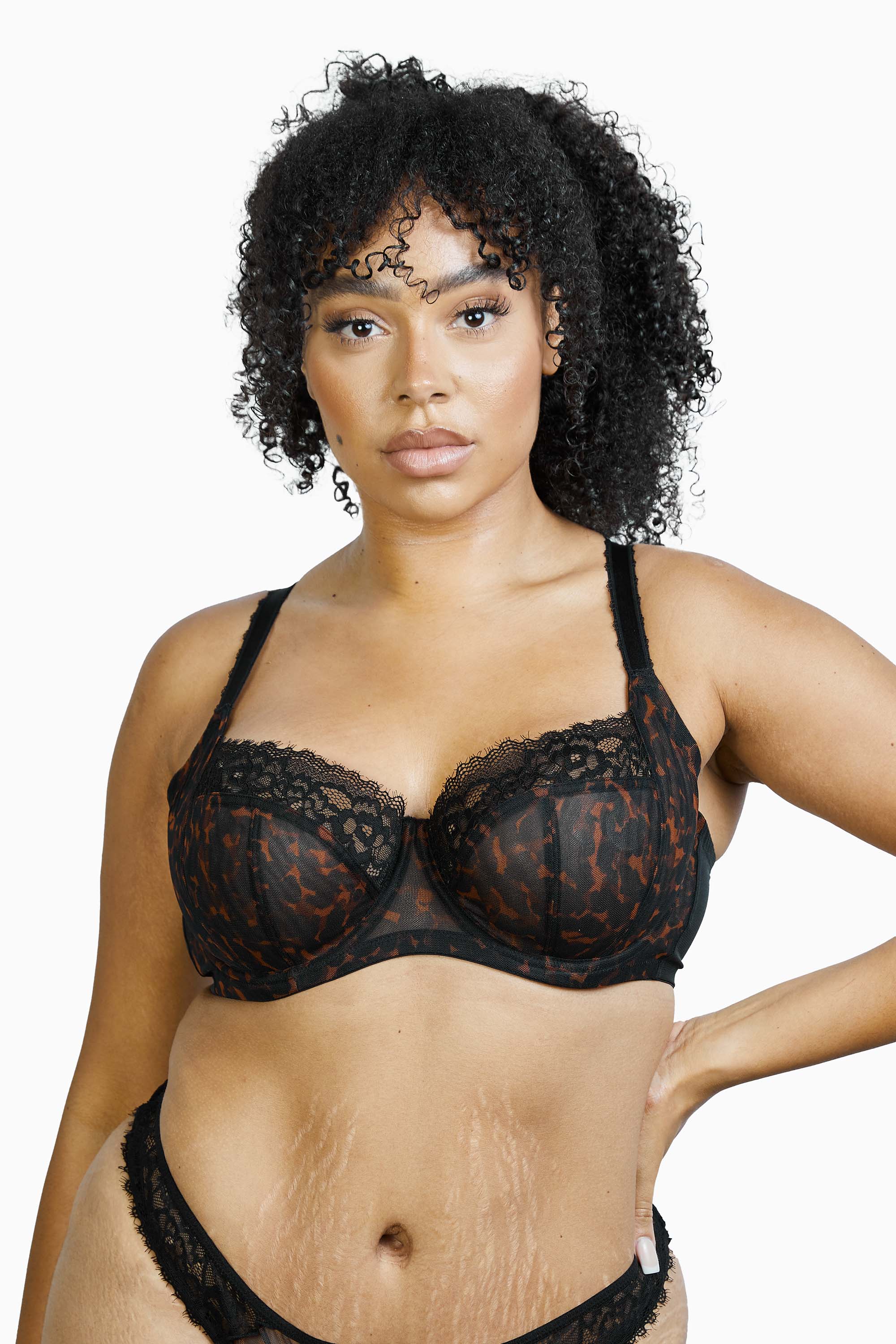 Rosalyn Black Tortoiseshell Lace Full Cup Bra - Image 5
