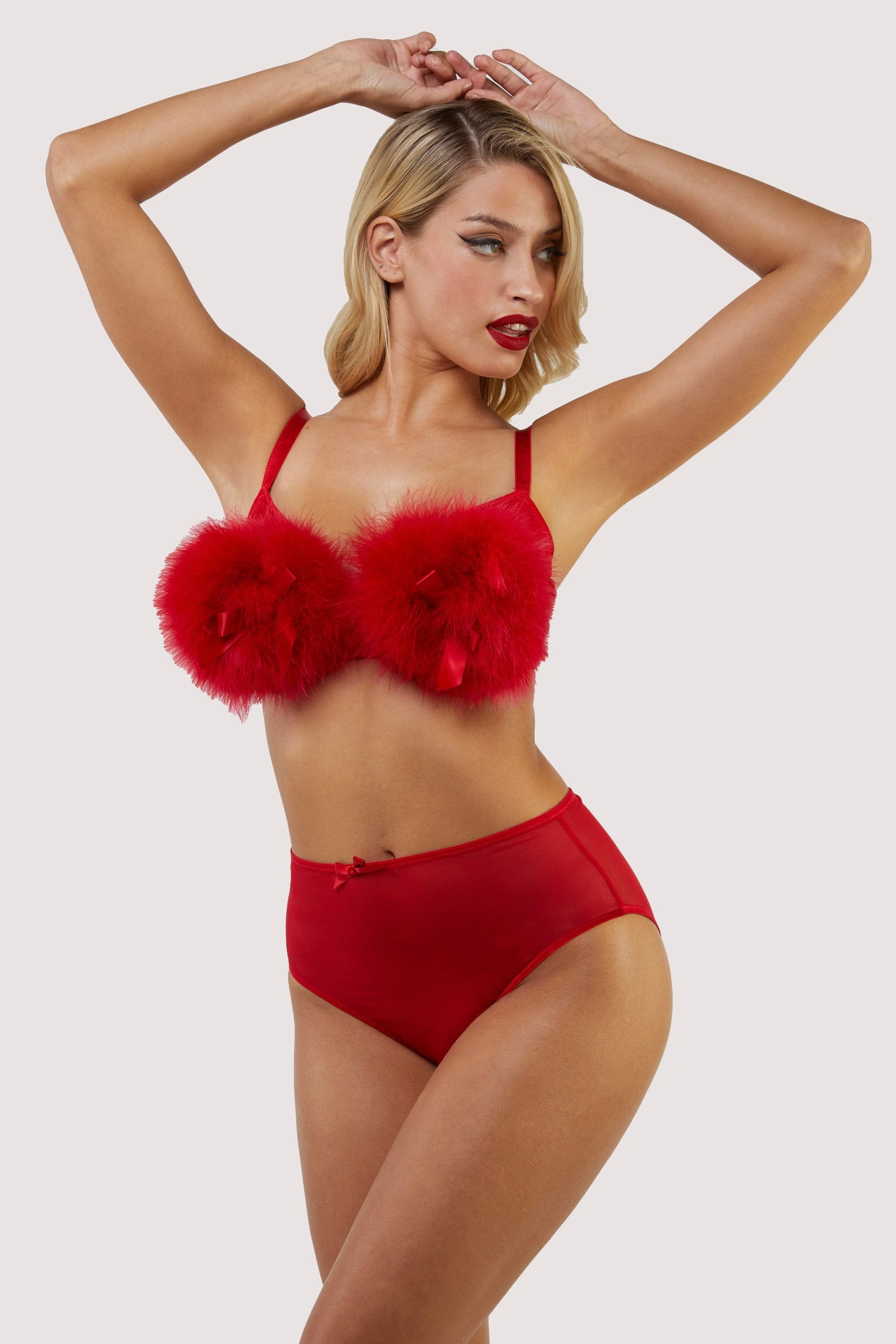 Elizabeth Red Mesh High Waisted Brief - Image 3