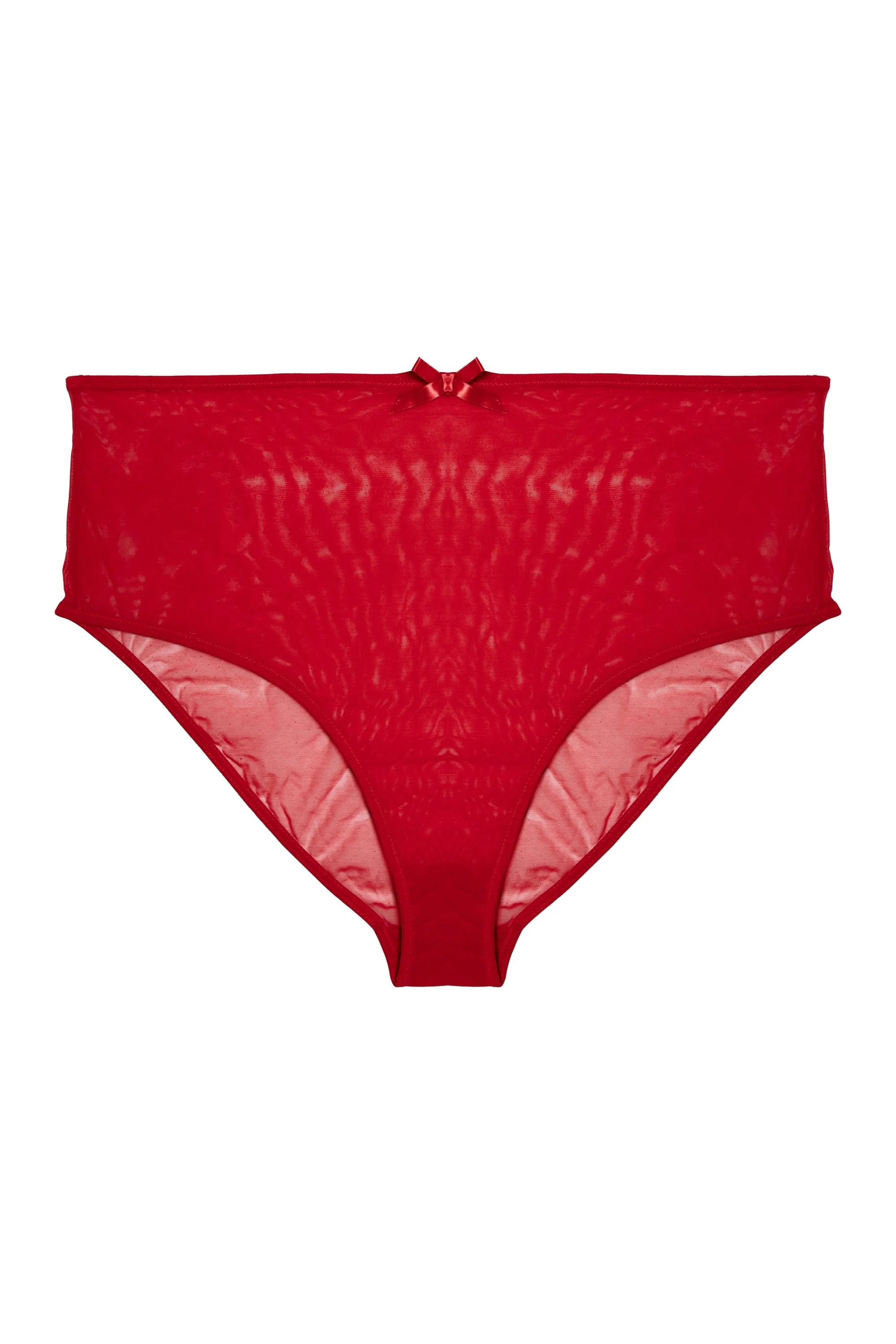 Elizabeth Red Mesh High Waisted Brief - Image 4