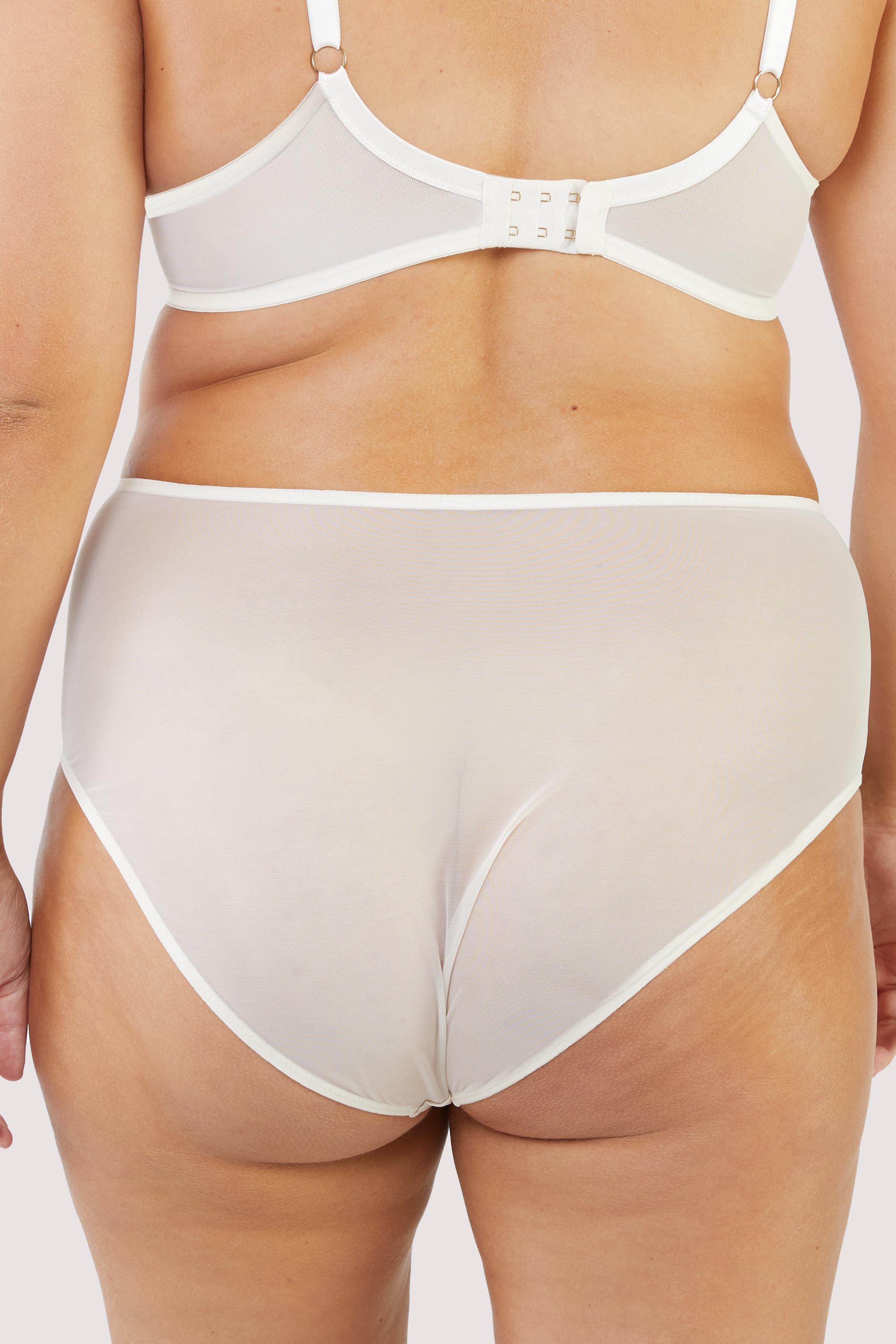 Ellery Classic Pale Rose High Waist Brief - Image 6