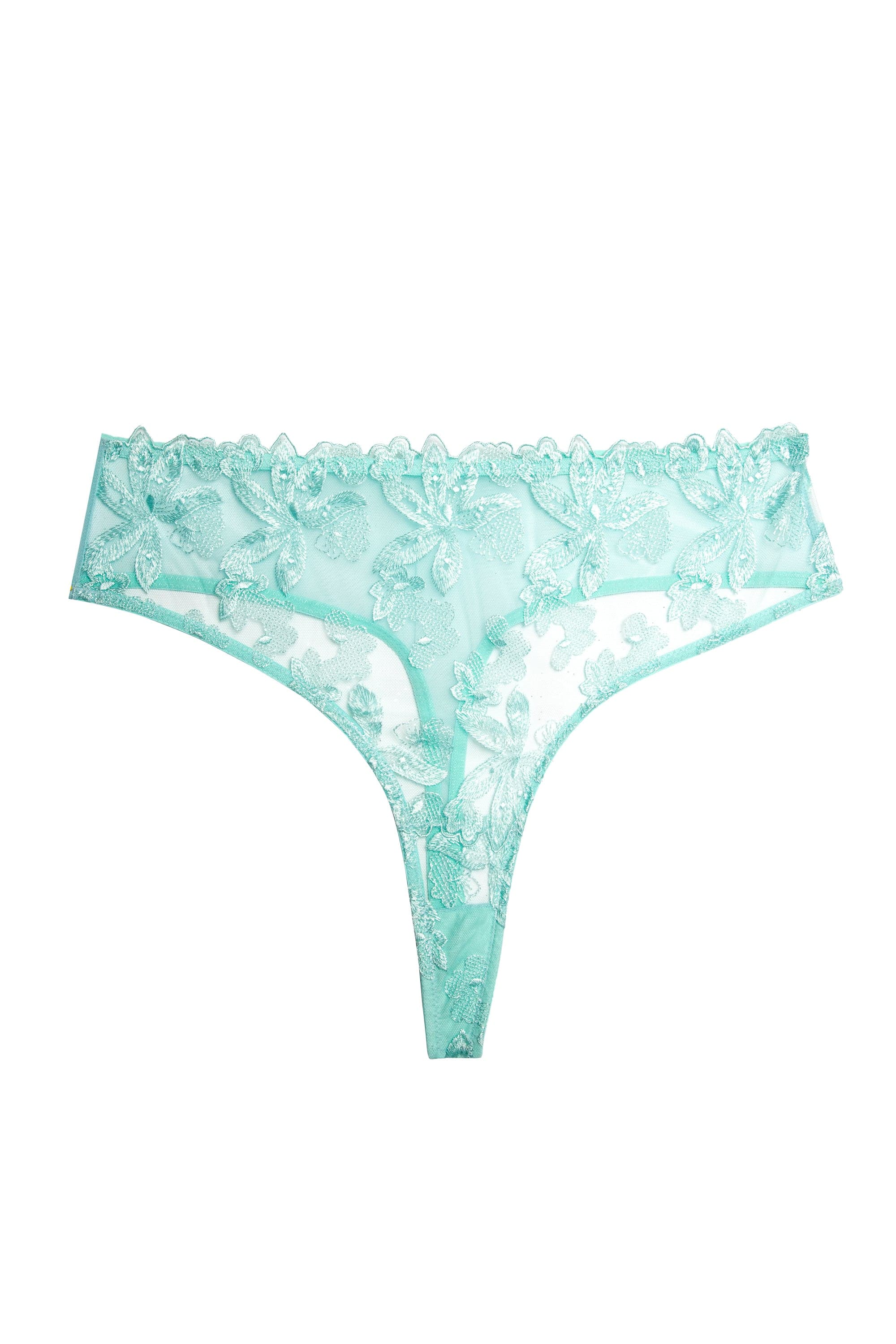 Eva Blue Graphic Embroidery High Waist Thong - Image 4