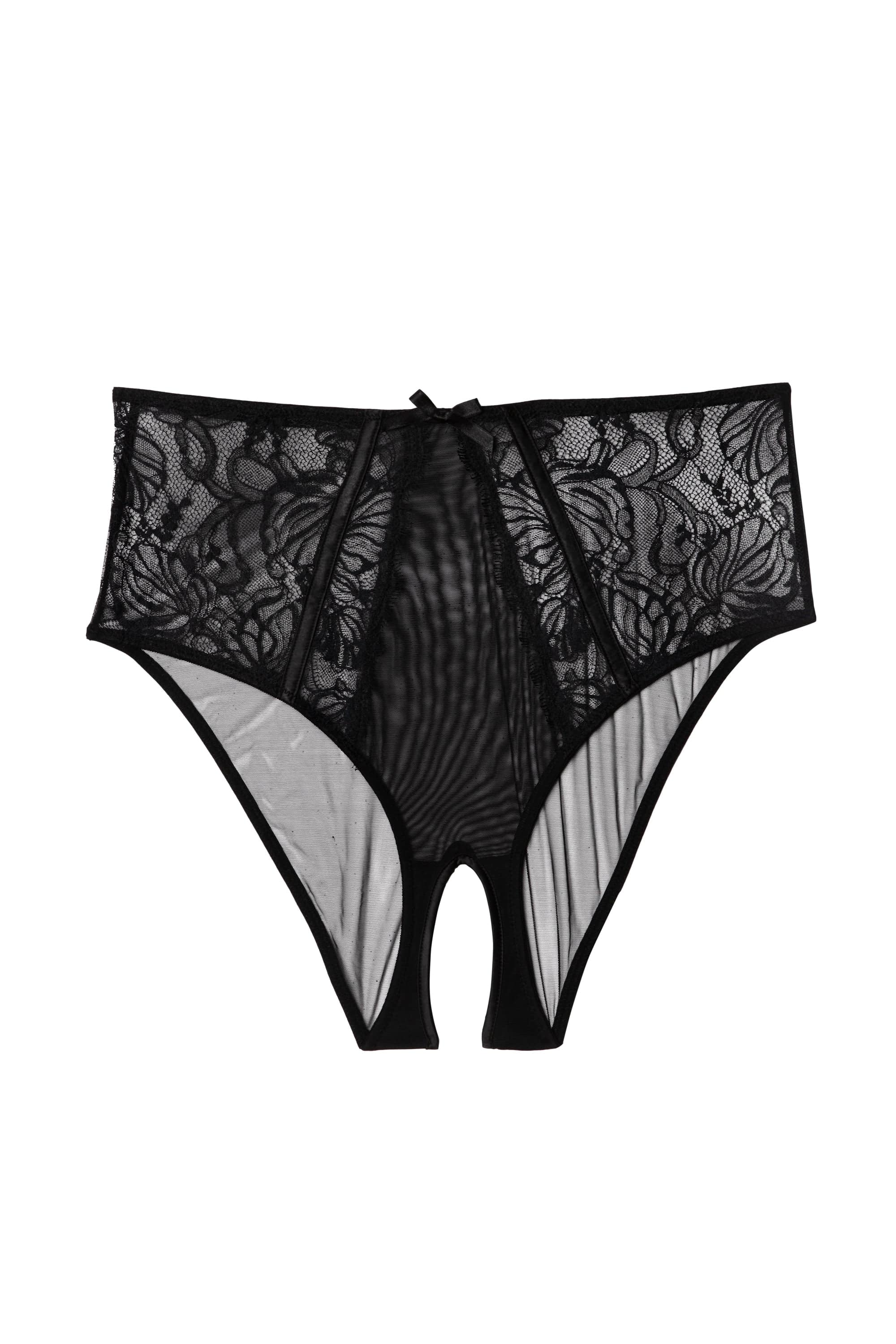 Fallon Black Lace and Mesh High Waisted Crotchless Brief - Image 3