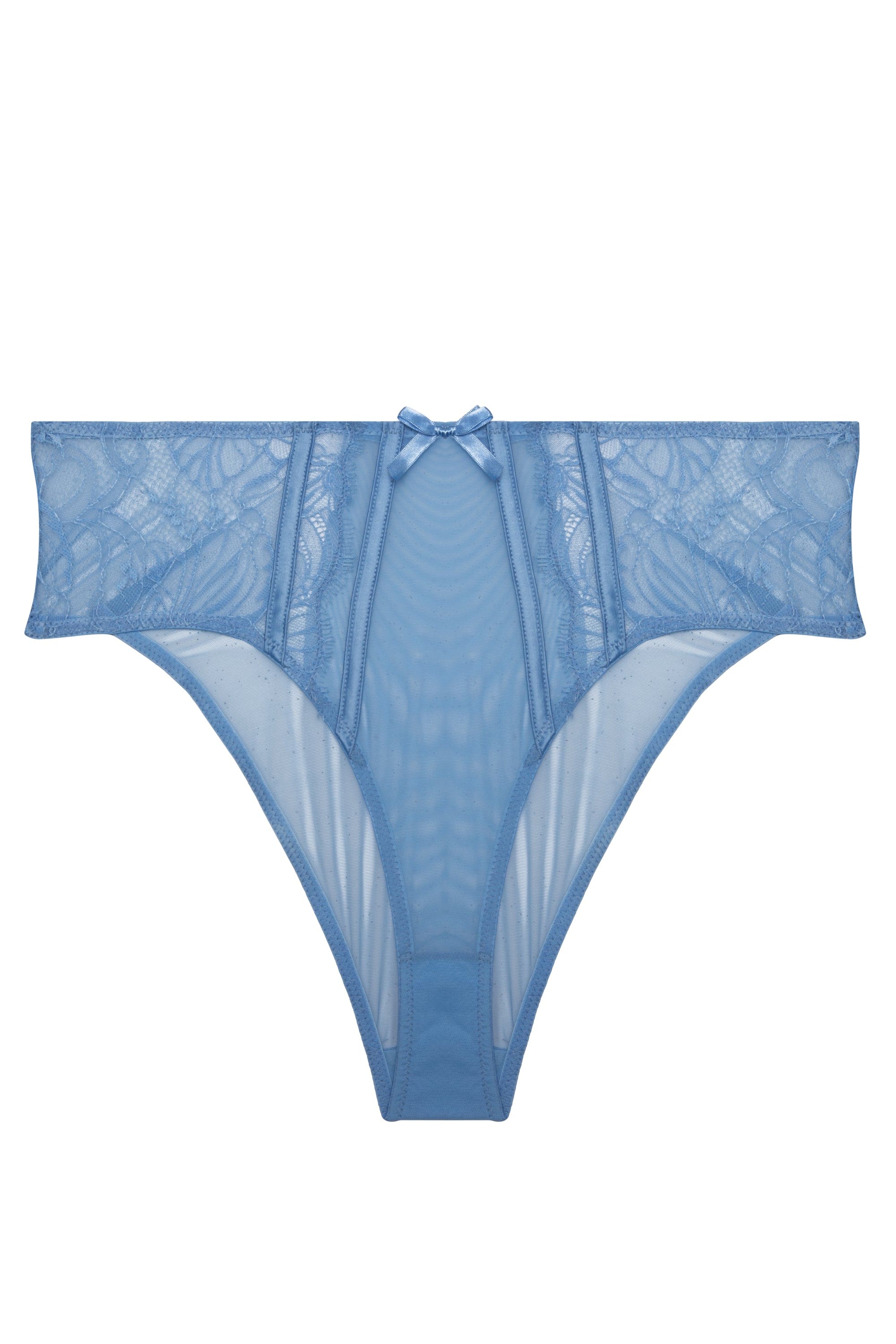 Fallon Cornflower Blue Lace and Mesh Midi Brief - Image 4