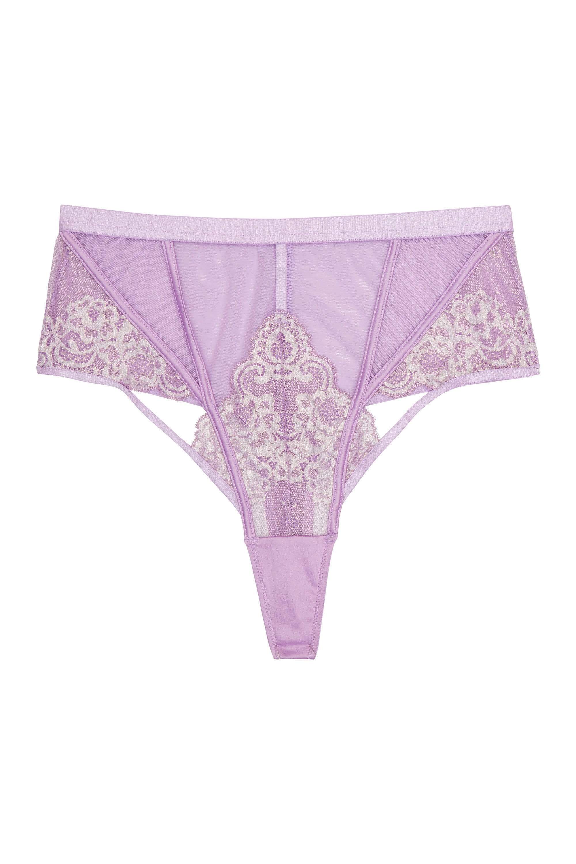 Fenella Lace and Net High Waist Brief Core - Image 4
