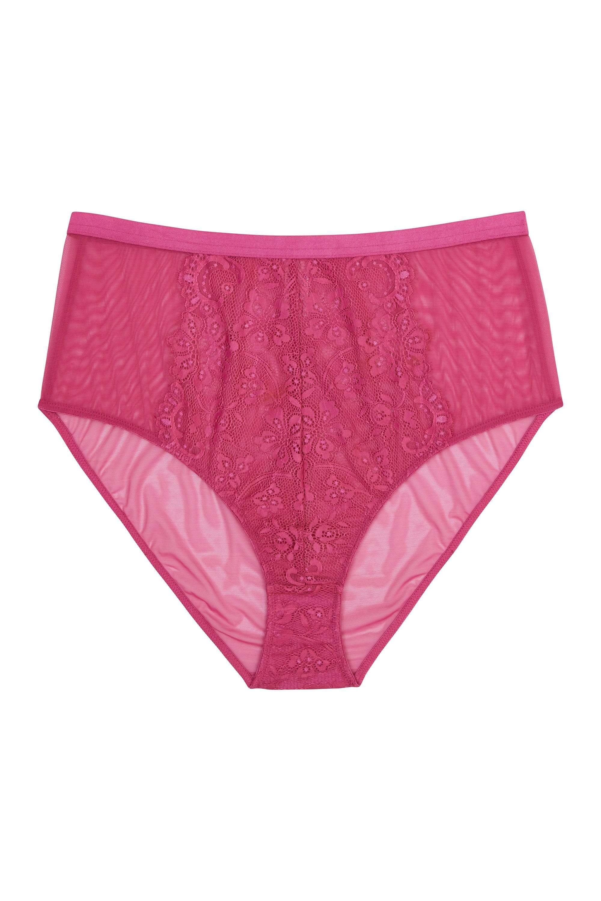 Gabi Fresh Bella Lace High Waist Brief Pink - Image 7