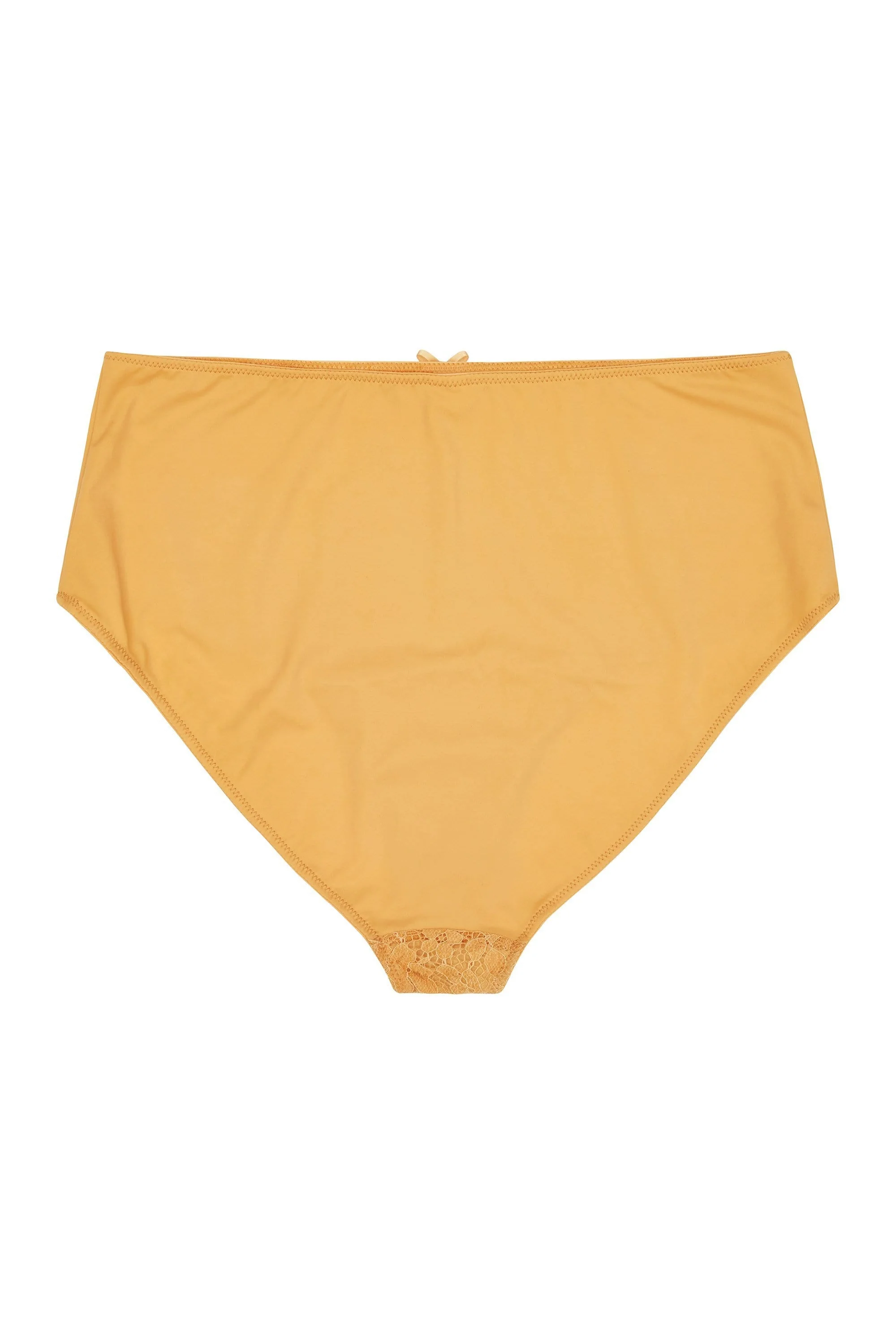Aspen Mustard High Waist - Image 4
