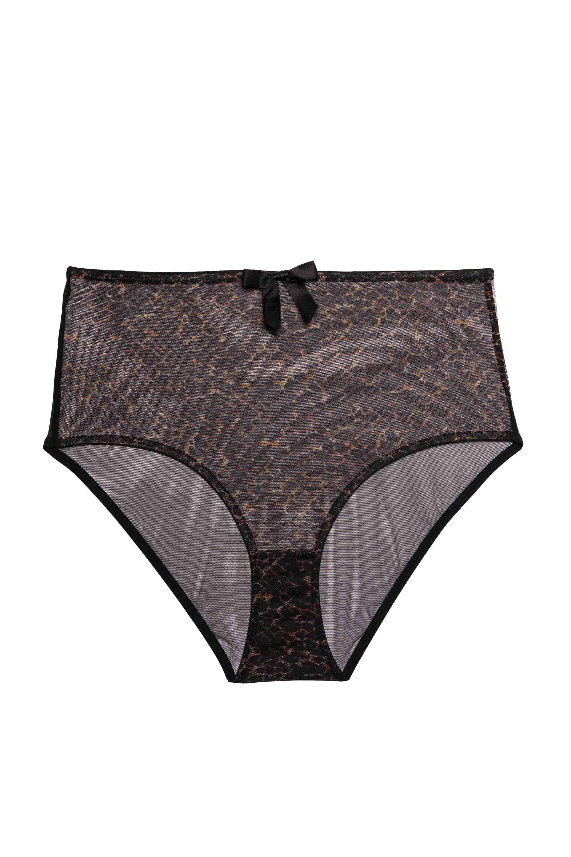 Hazel Leopard Print Classic High Waist Brief - Image 4