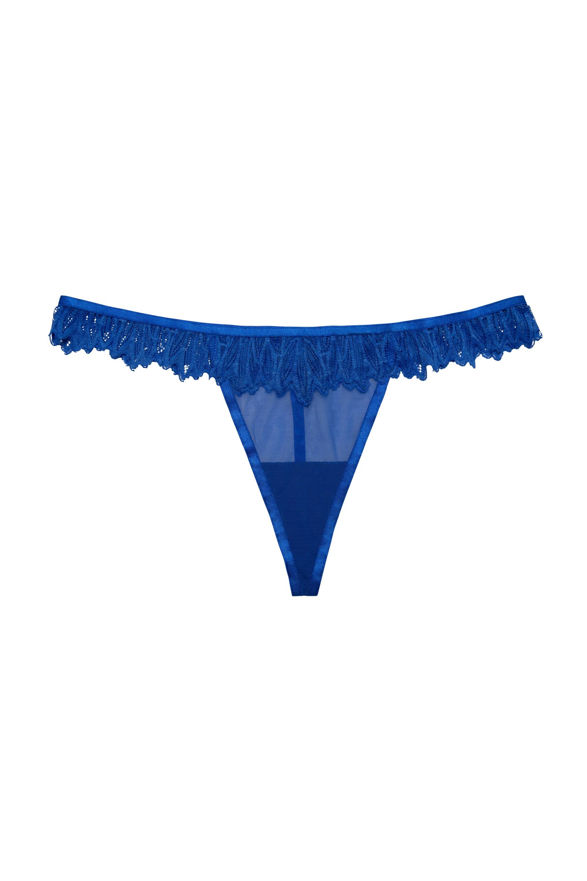 Hustler Margot Cobalt Lace and Mesh Hipster Brief - Image 2