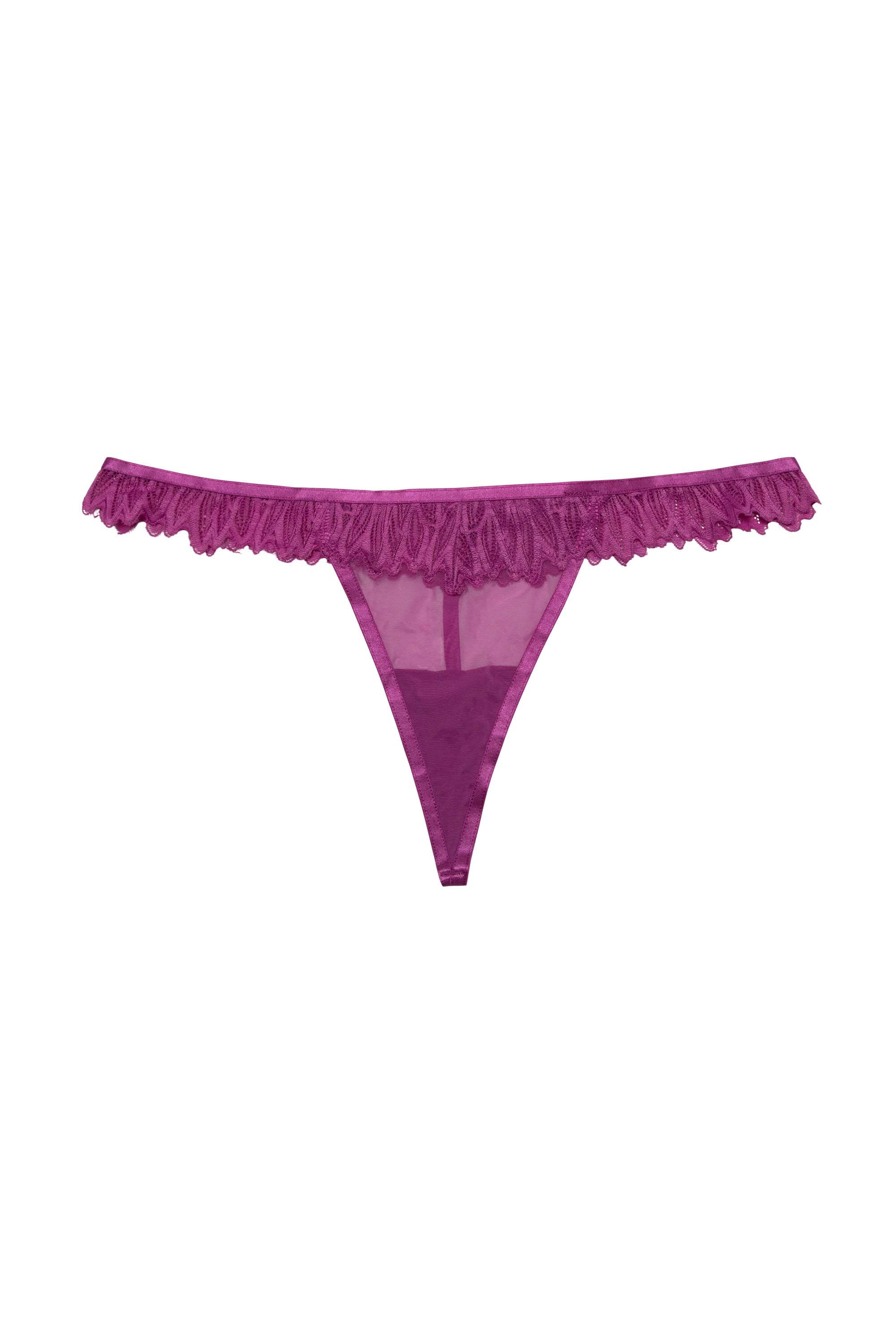 Margot Violet Lace and Mesh Hipster Brief - Image 2