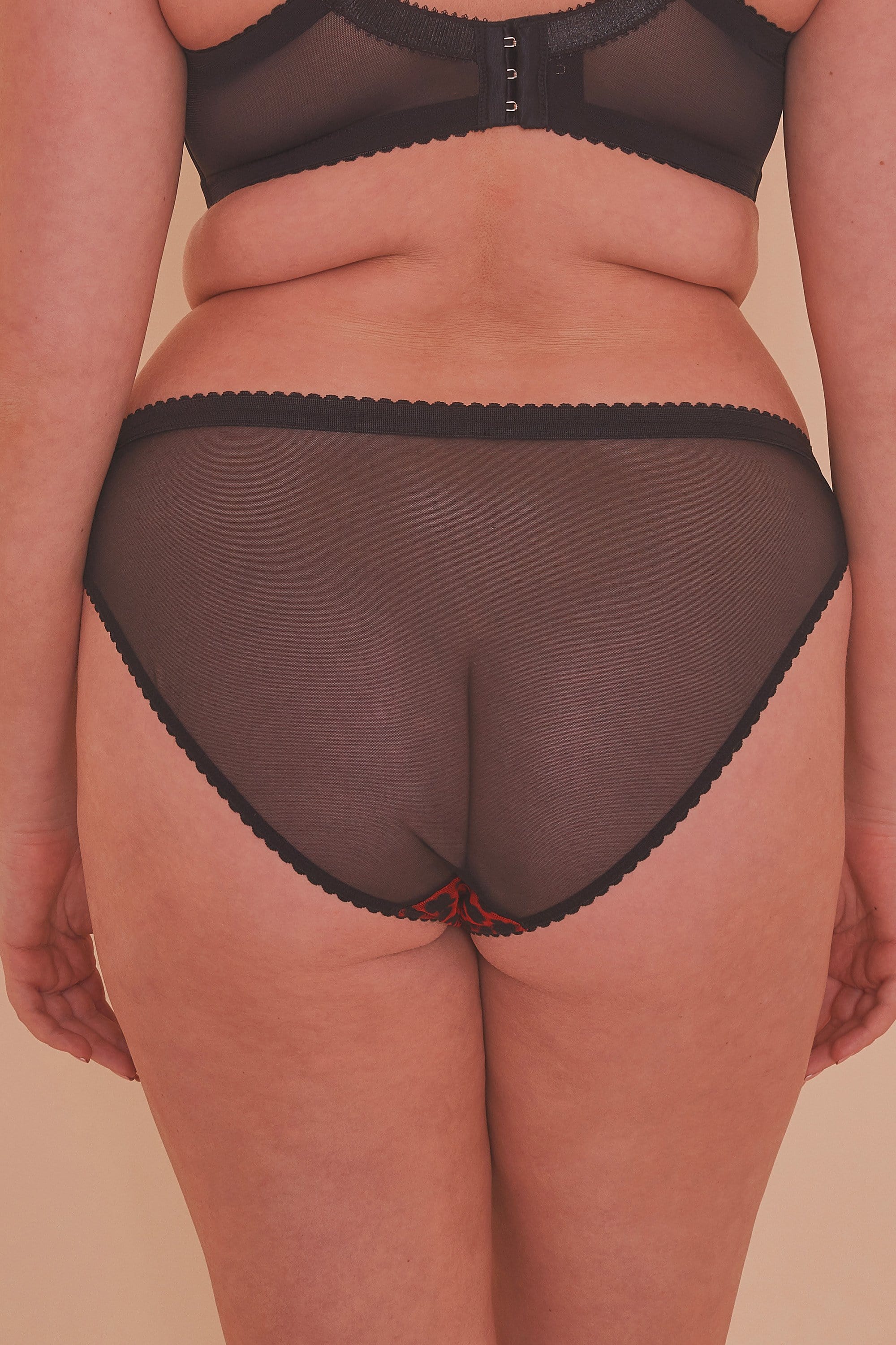 Josie Leopard Mesh Picot Cheeky Brazilian Brief Curve - Image 5