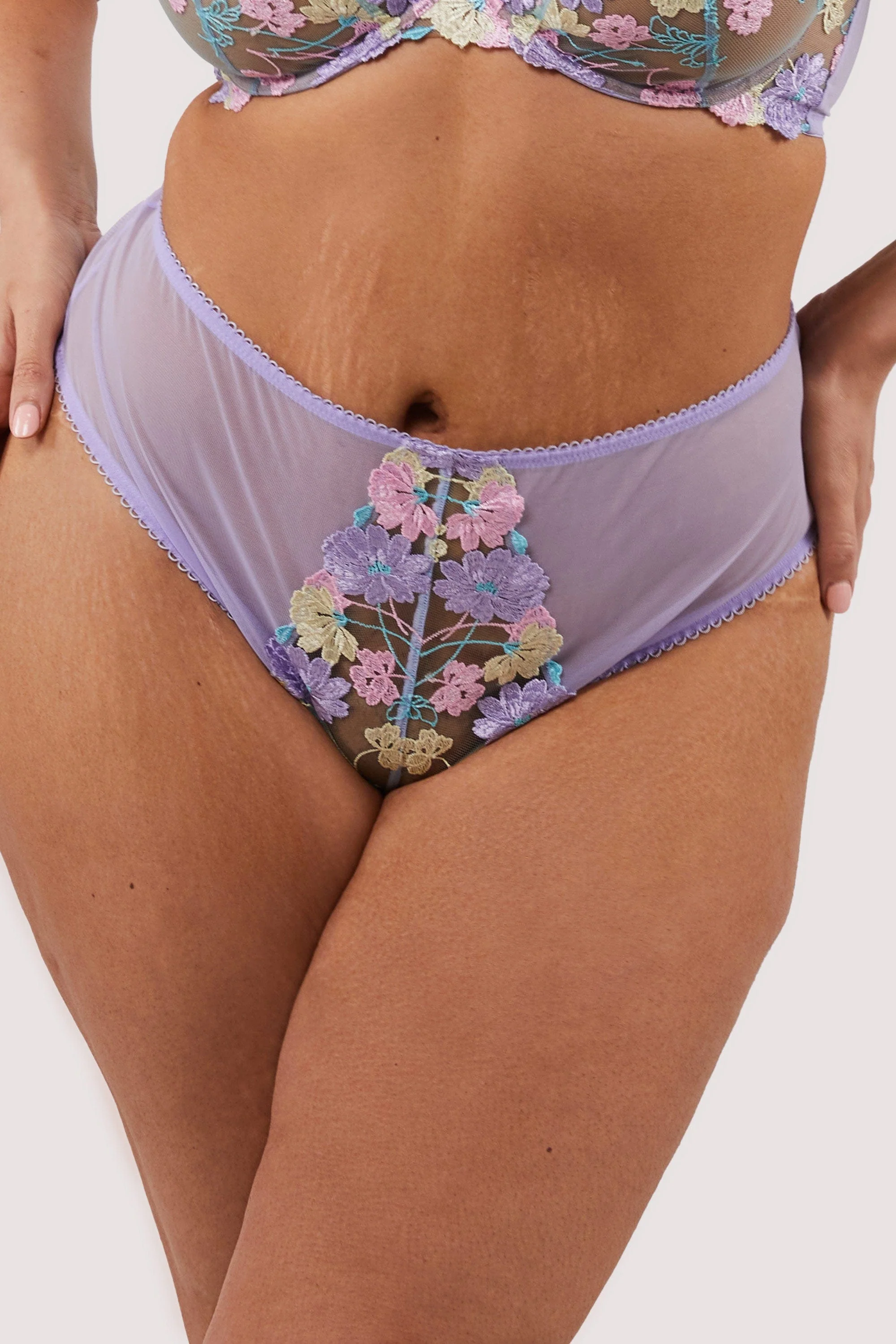 Luna Pastel Embroidered High Waisted Brief - Image 4