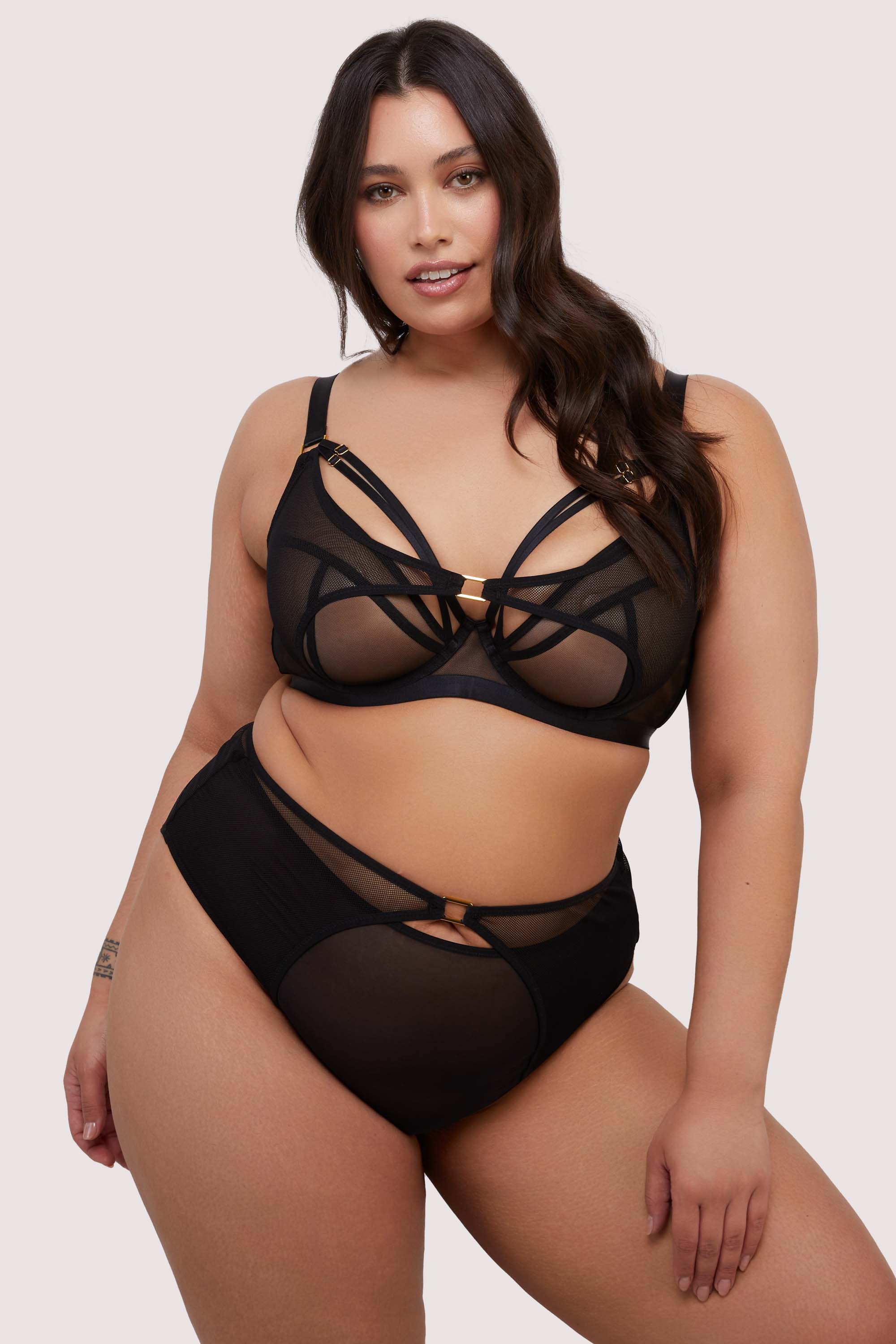 Holland Fishnet and Mesh High Waisted Brief - Image 7