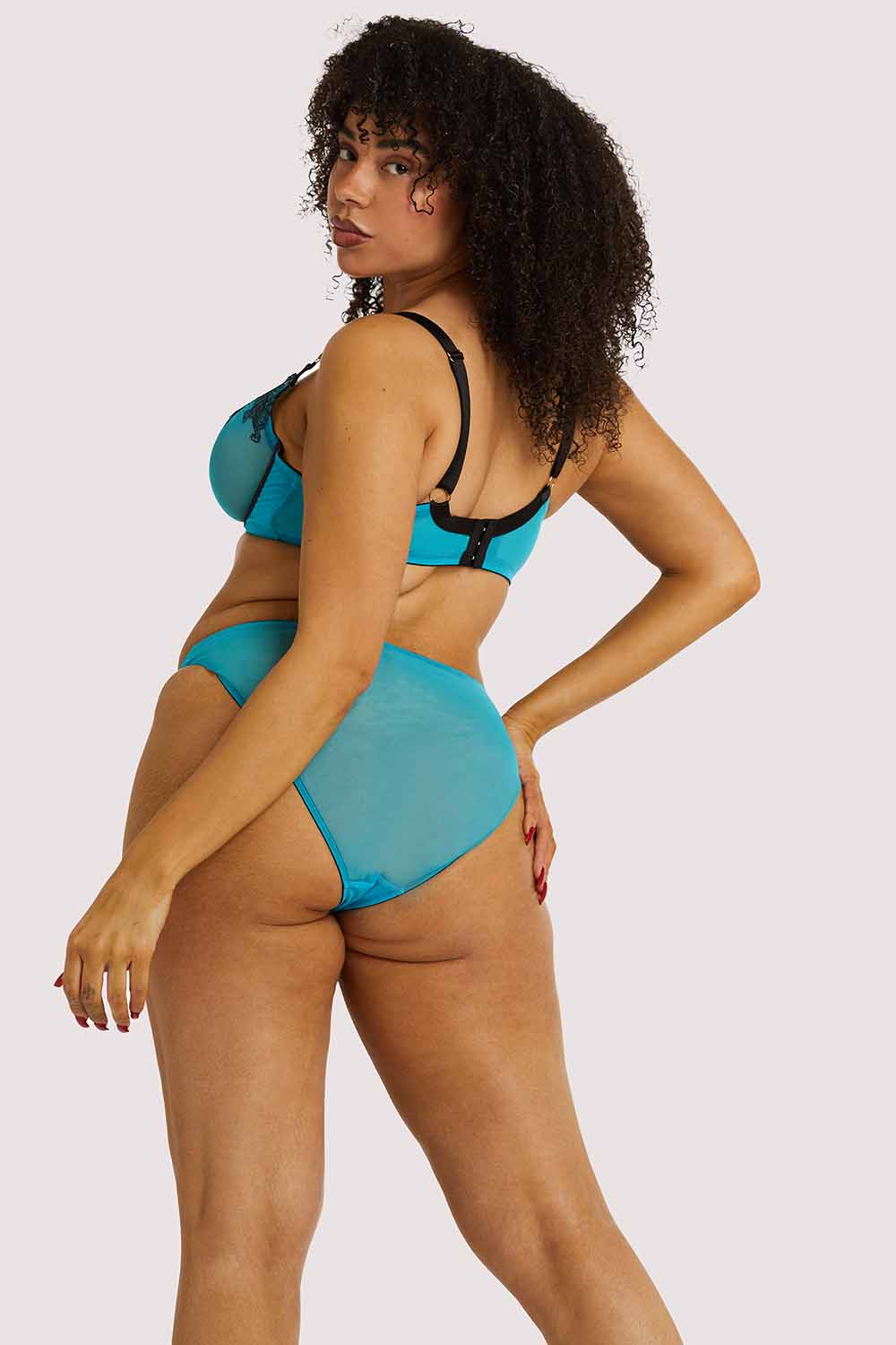 Tiger Blue Hipster Brief - Image 7
