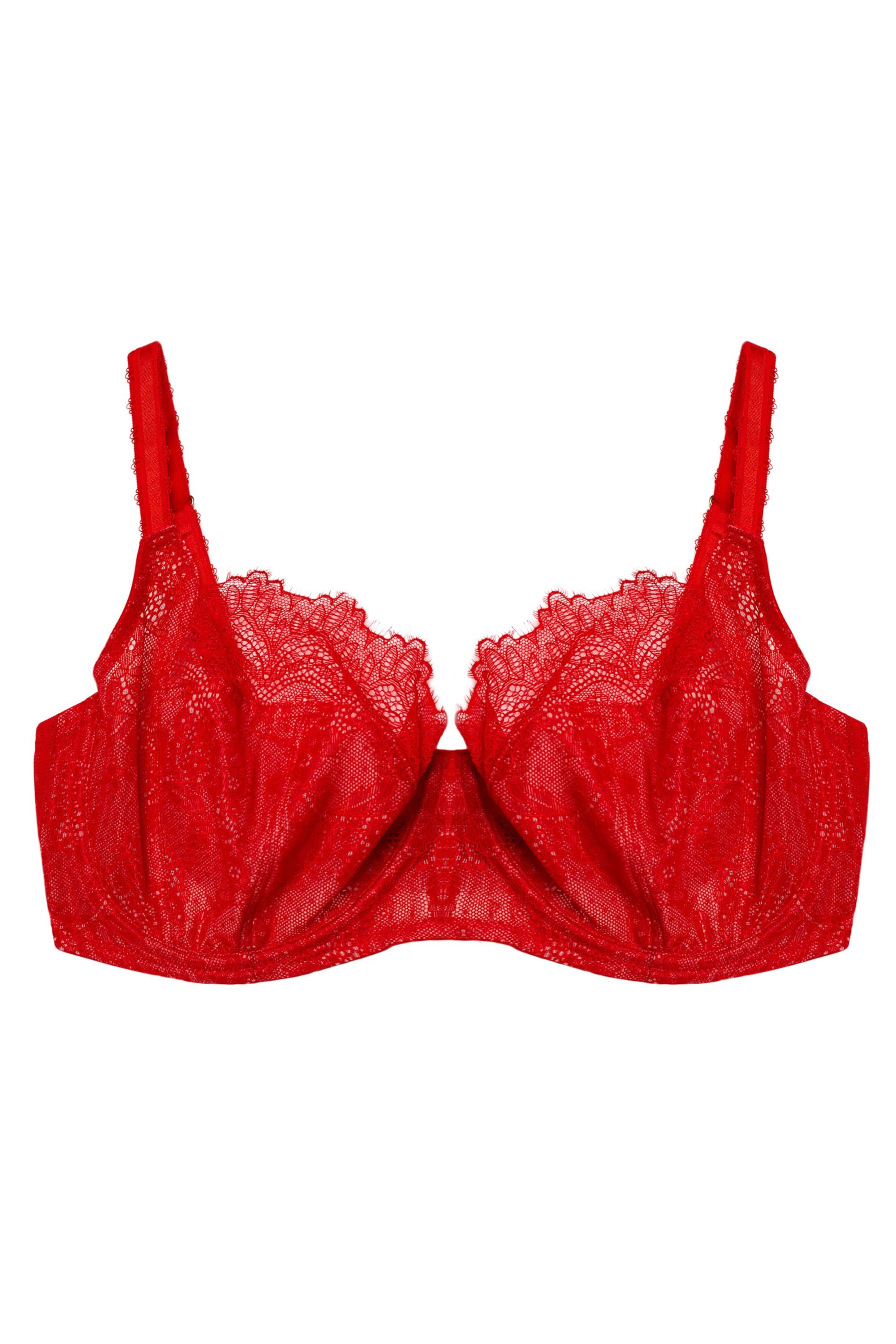 Rosalyn Red Balcony Bra - Image 10