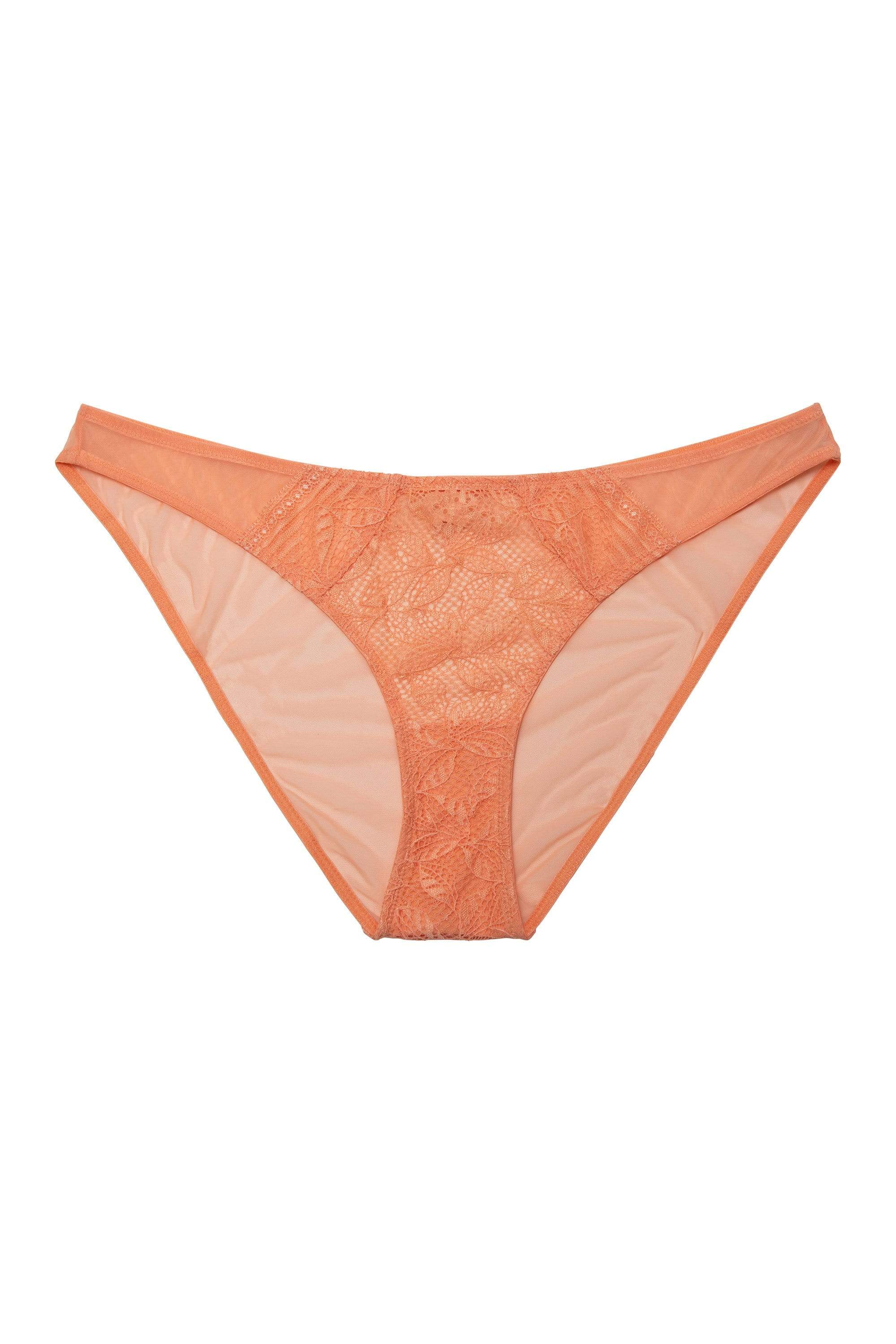 Emma Coral Brazilian Lace Brief - Image 3