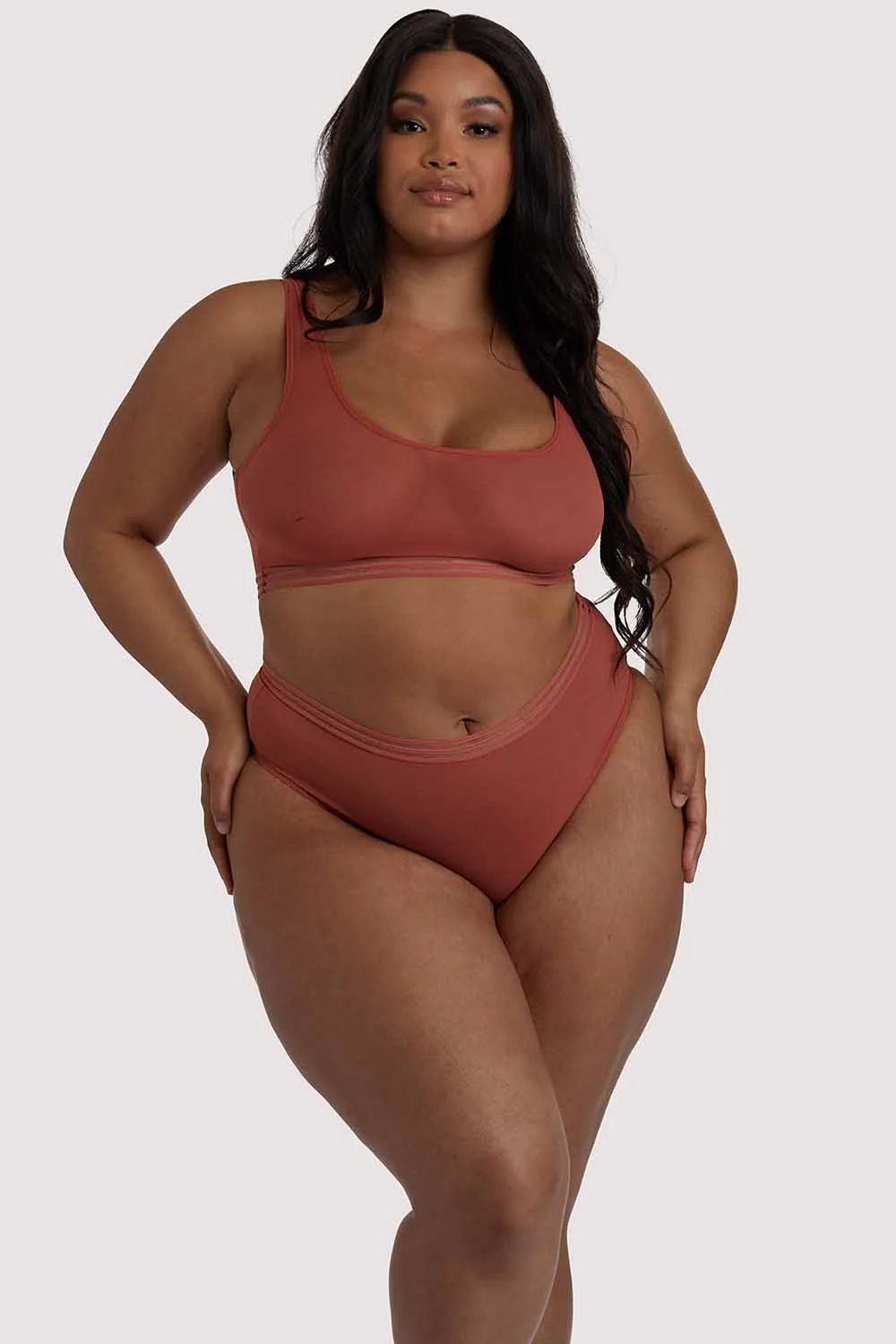 Chelsea Cinnamon Mesh Crop Top - Image 3