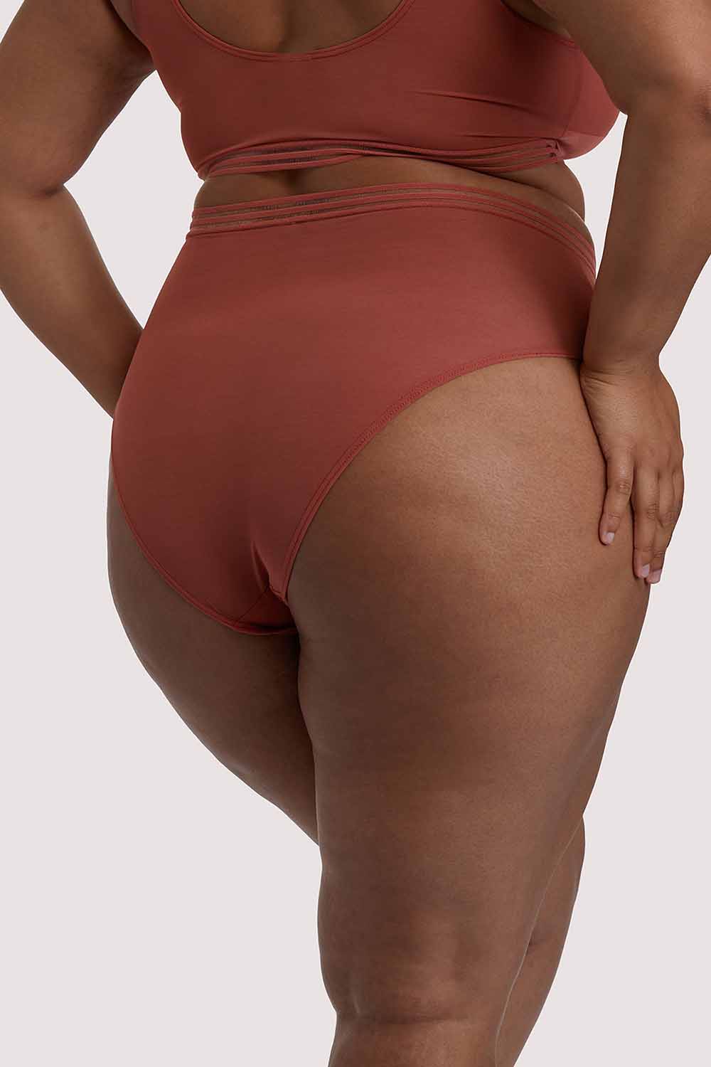 Chelsea Cinnamon Mesh Highwaist Brief - Image 2