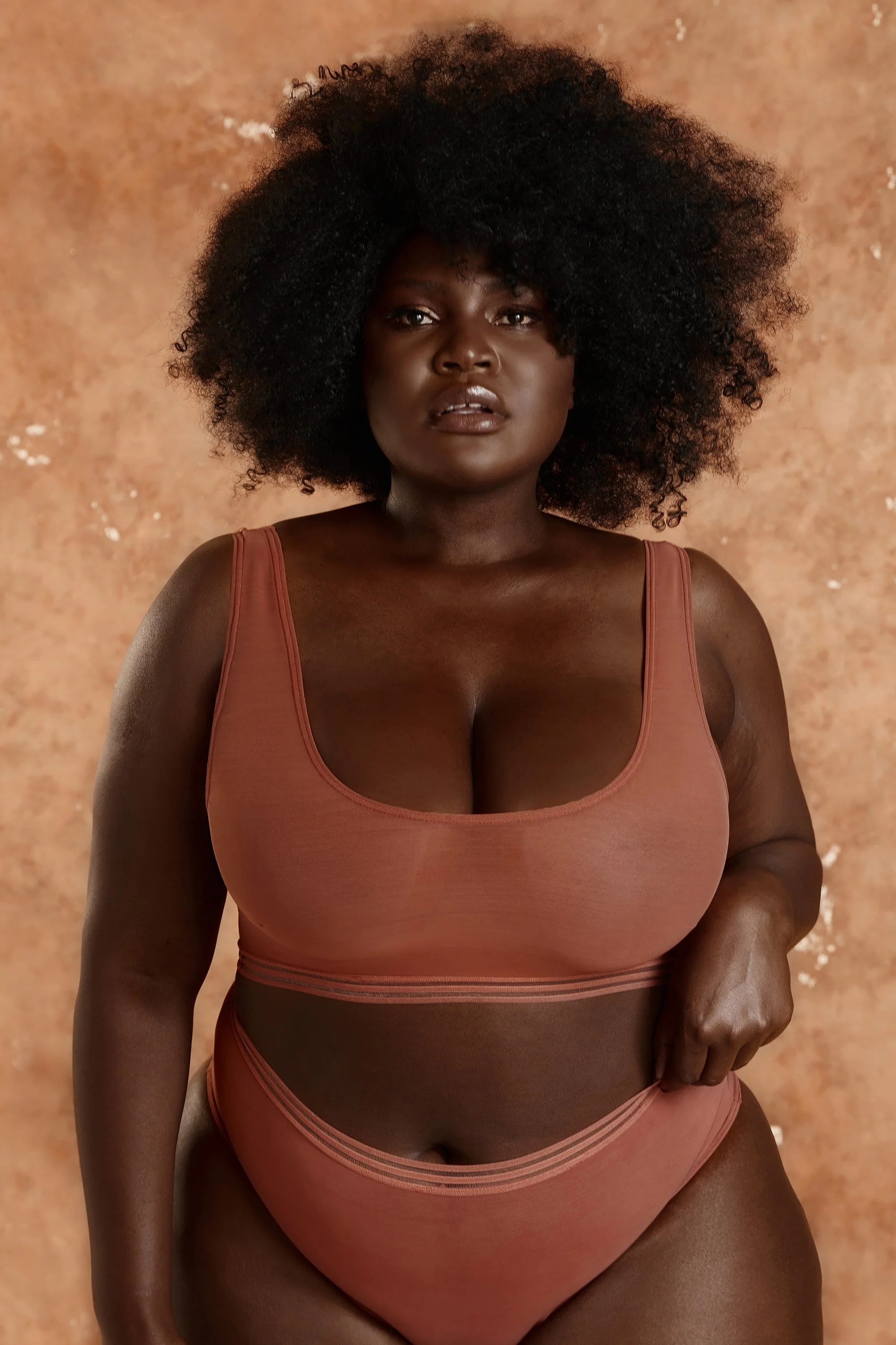 Chelsea Cinnamon Mesh Highwaist Brief - Image 3