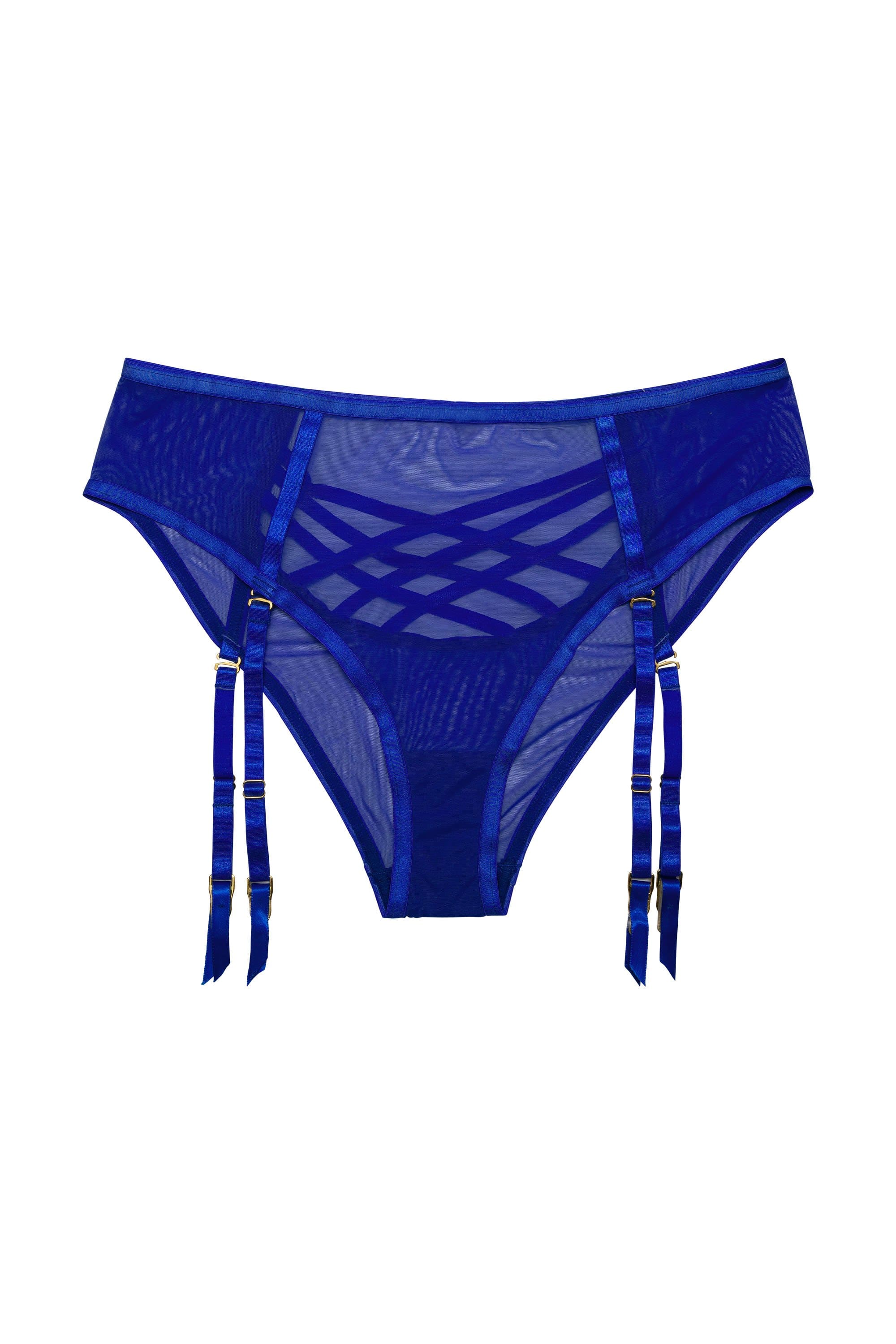 Hustler Arielle Mesh High Waist Blue Brief - Image 2