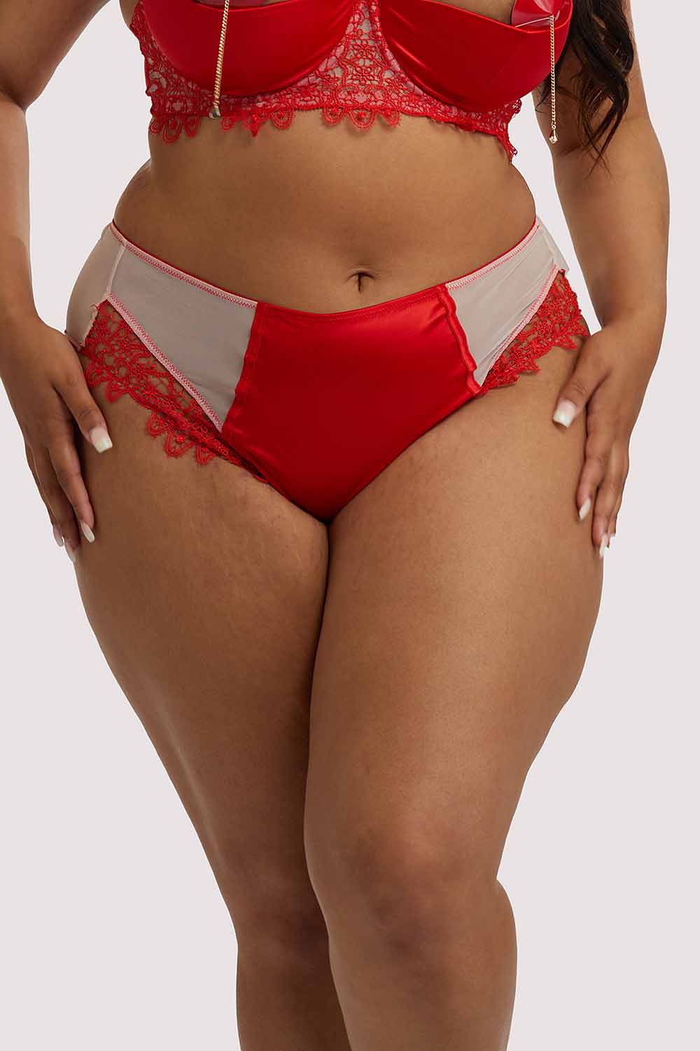 Anaise Red Highwaist Brief - Image 4