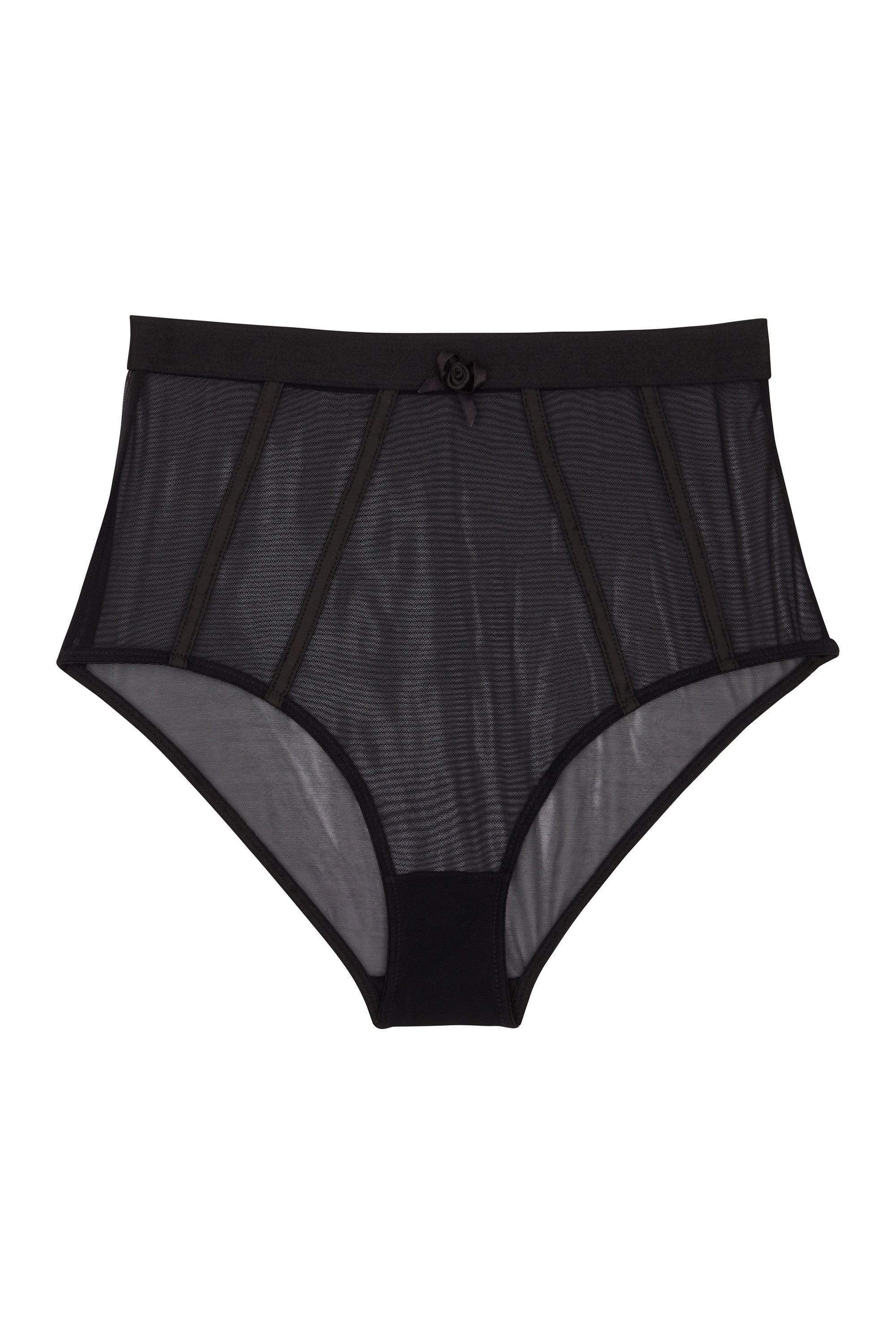 Regalia Colette Mesh Panelled High Waist Brief - Image 2