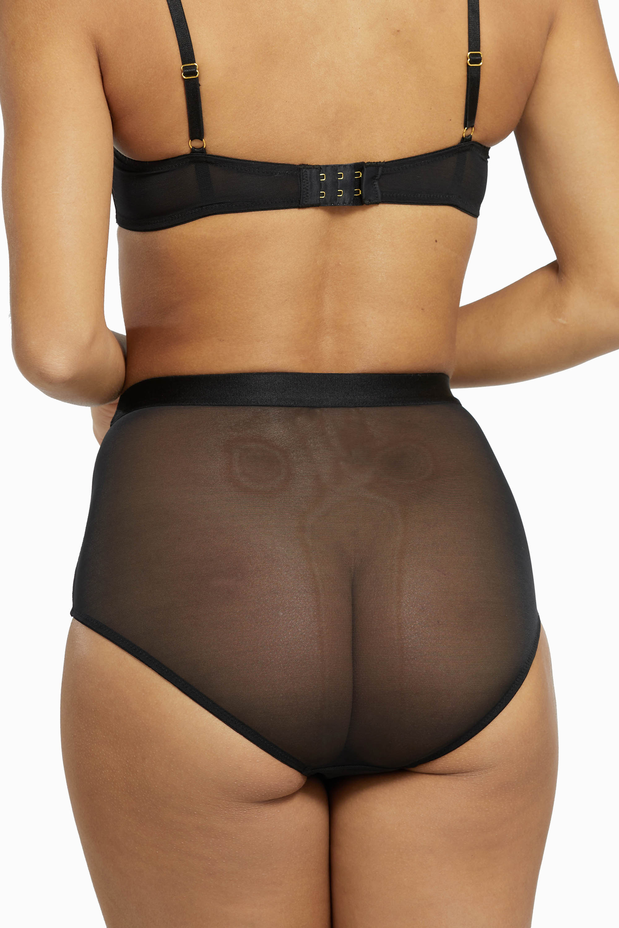 Regalia Colette Mesh Panelled High Waist Brief - Image 6