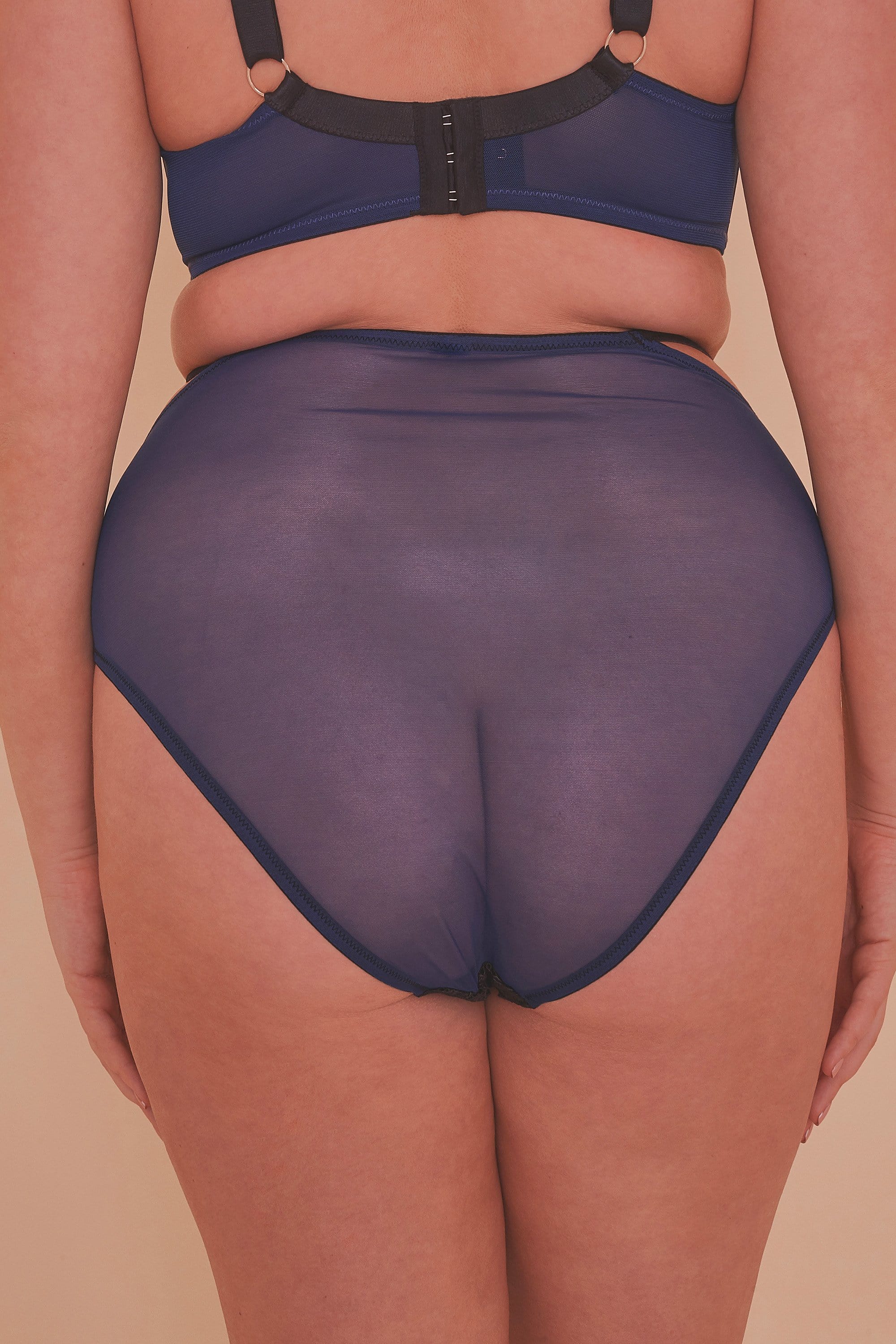 Tabitha Blue Embroidery Curve HW Brief - Image 4