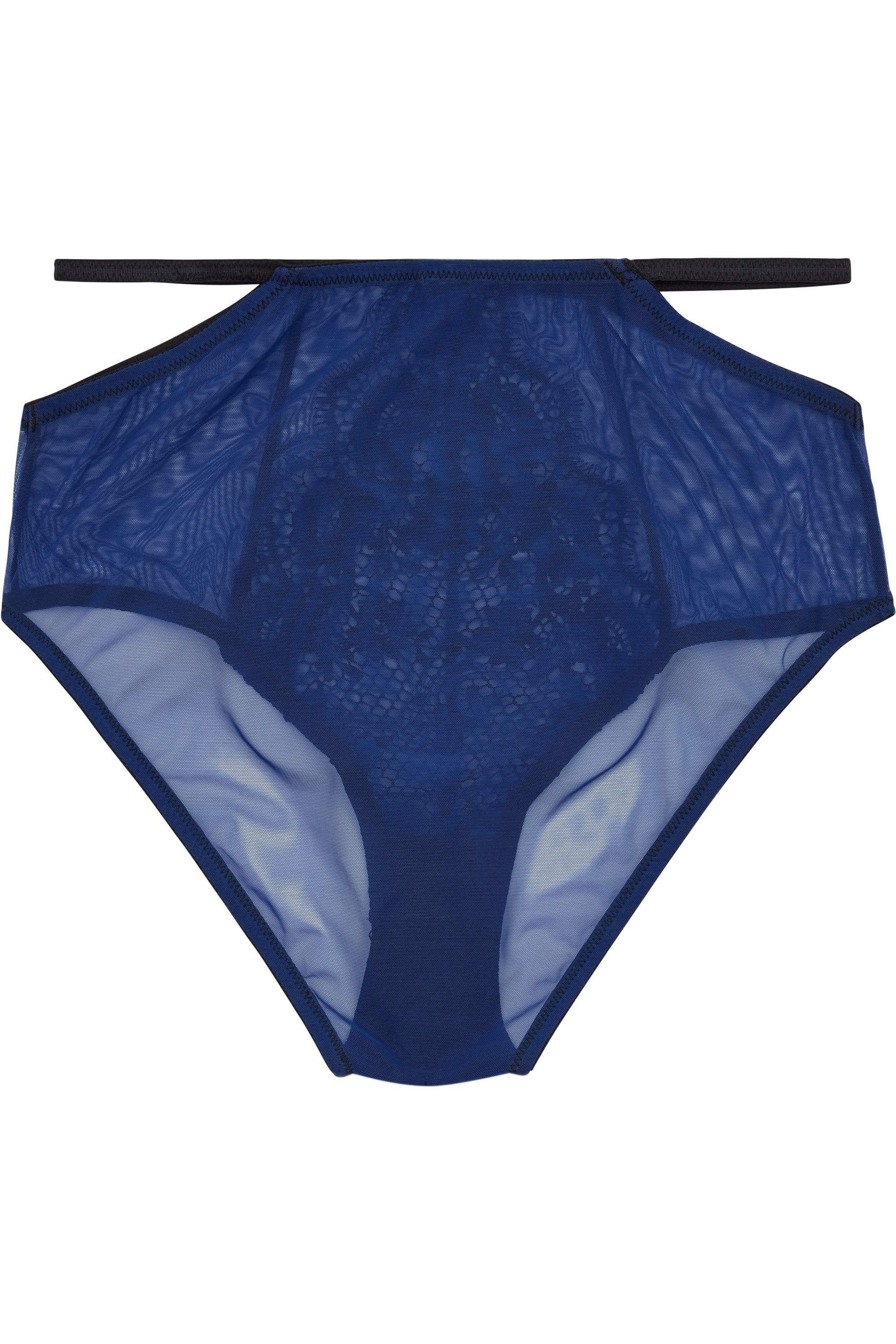 Tabitha Blue Embroidery HW Brief - Image 6