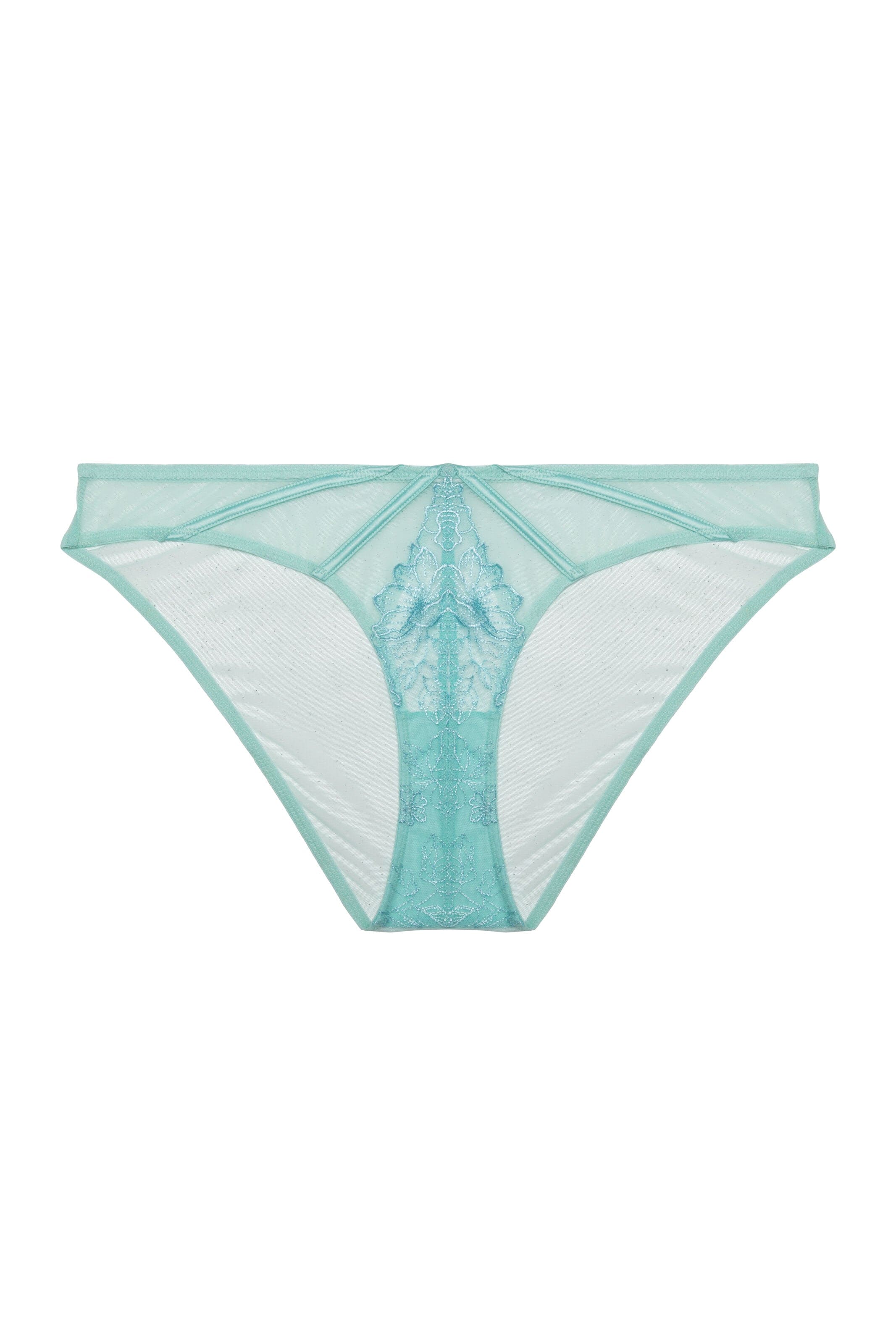 Valerie Aqua Embroidery & Mesh Brief - Image 8