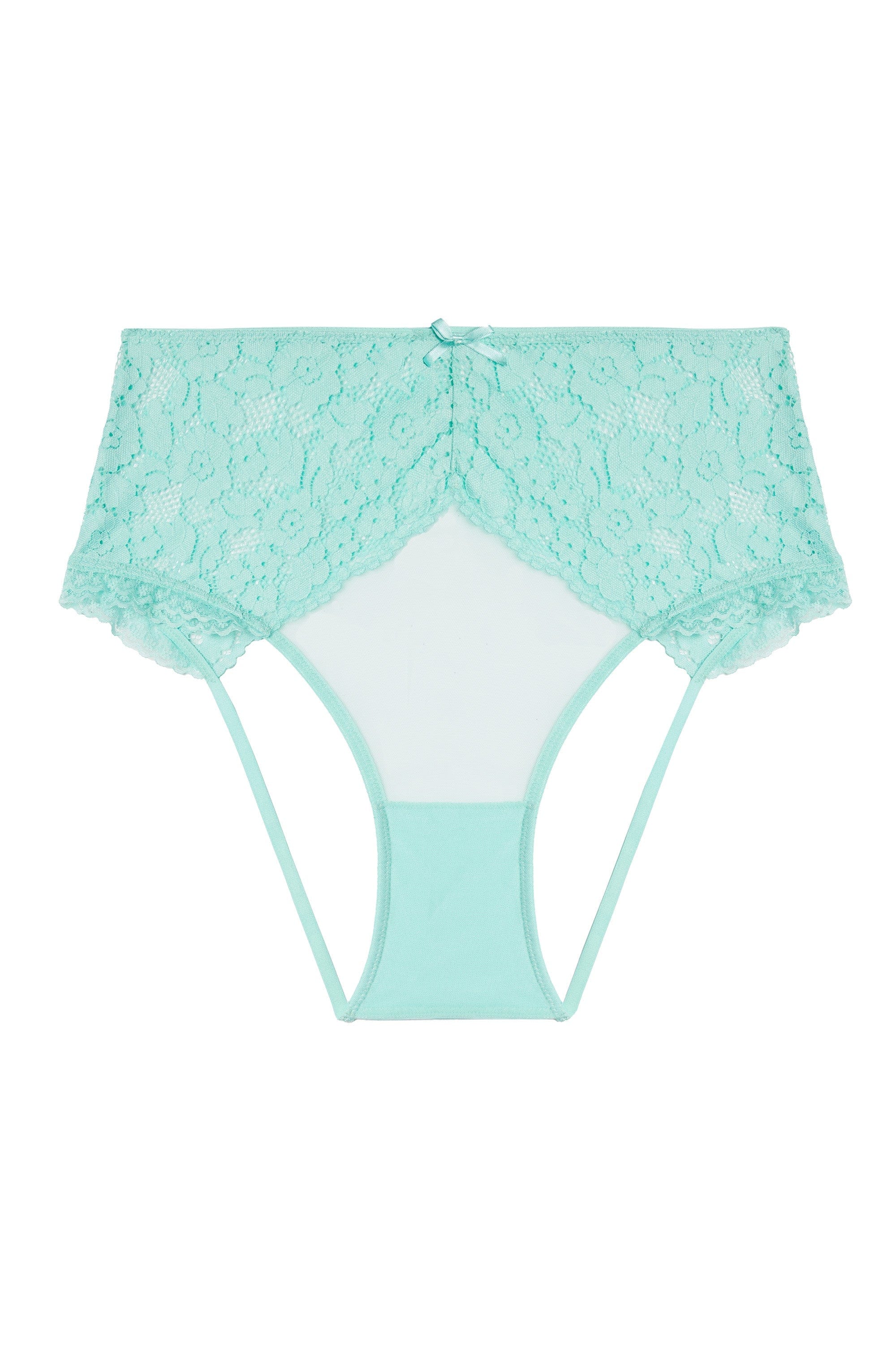 Vega Aqua Lace And Frill Open Back High Waisted Briefs - Image 5