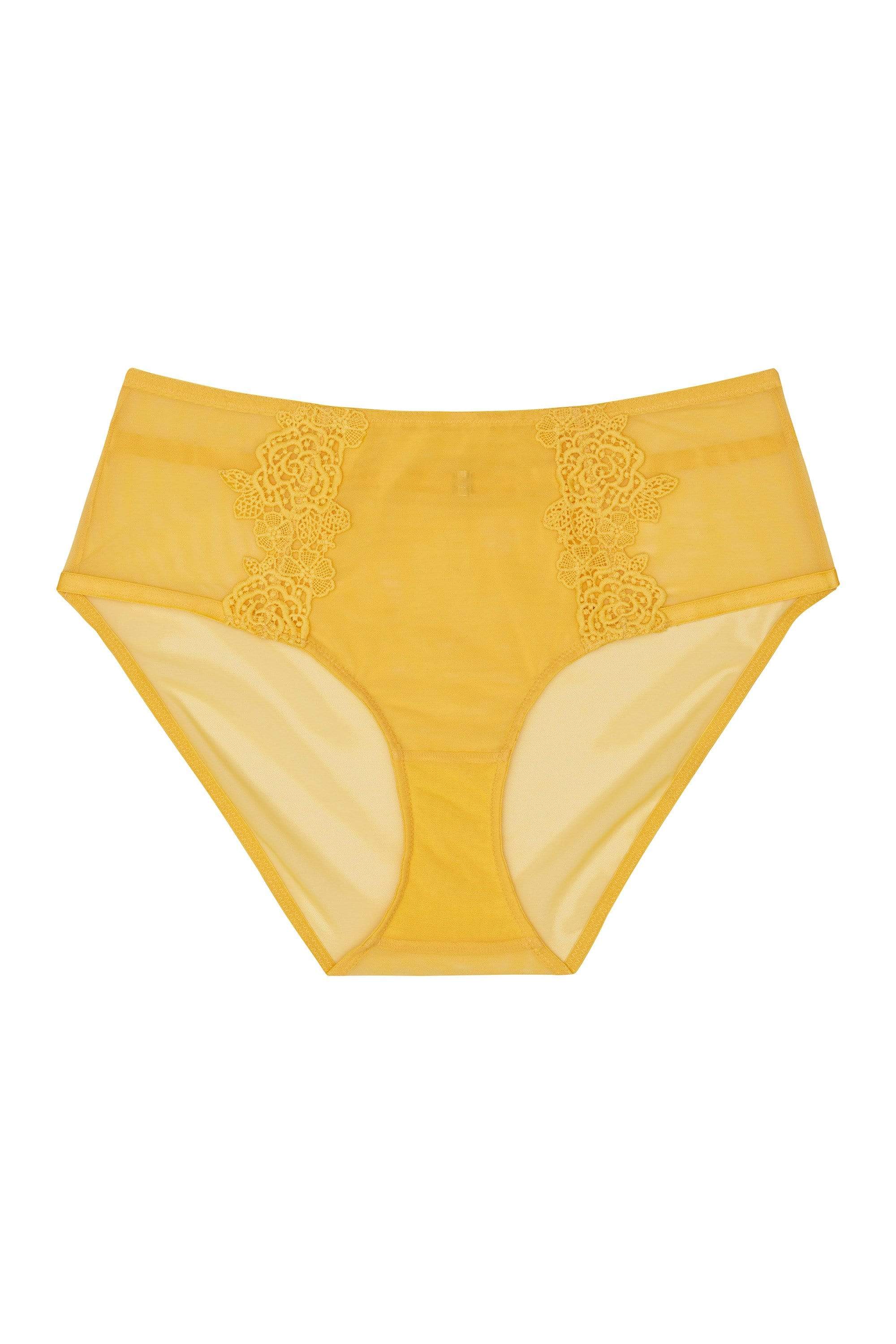 Vivienne Mustard Net Satin and Lace High Waist Brief - Image 6