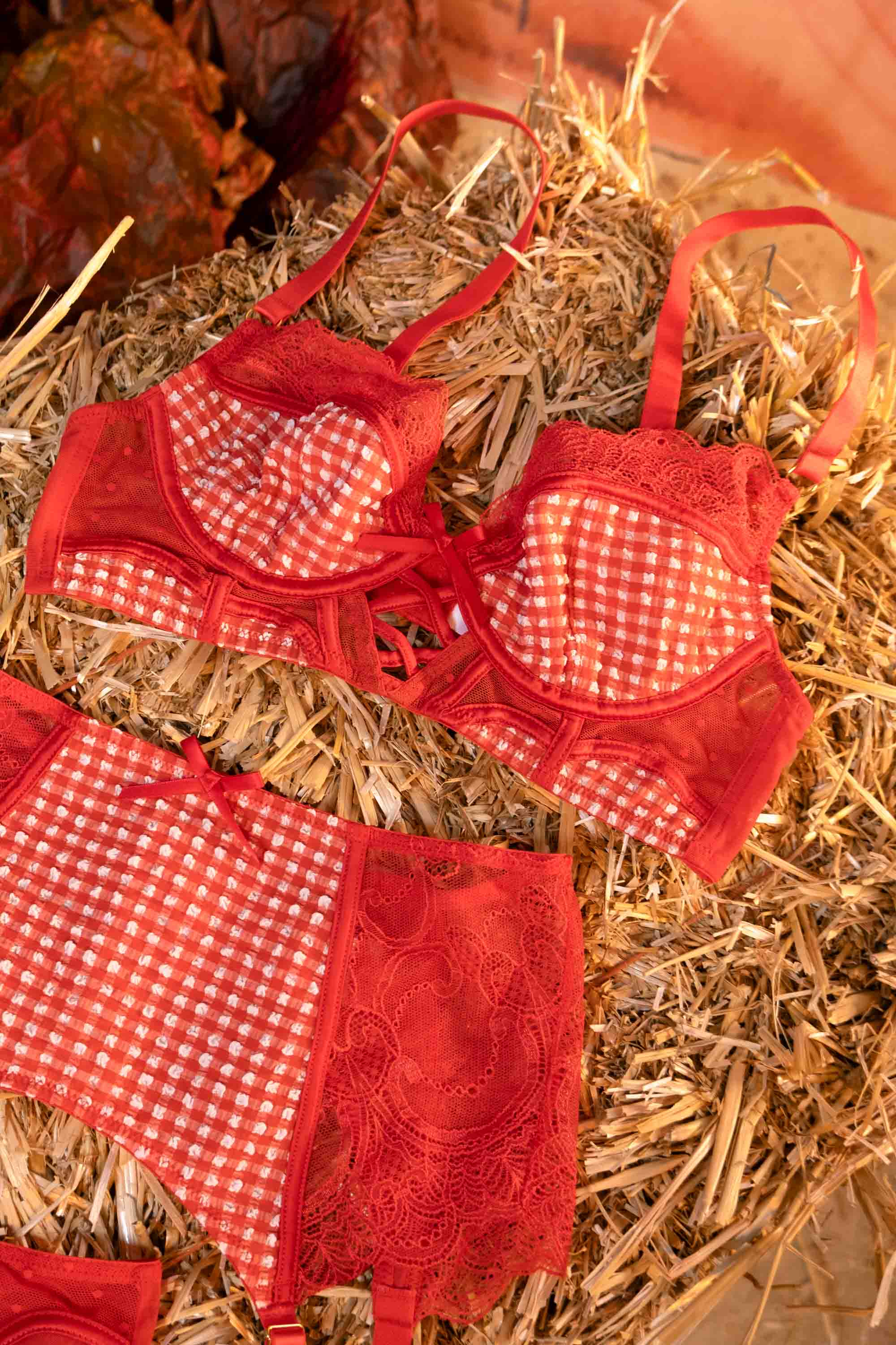 Adelaide Western Gingham And Lace High Waisted Thong - Image 4
