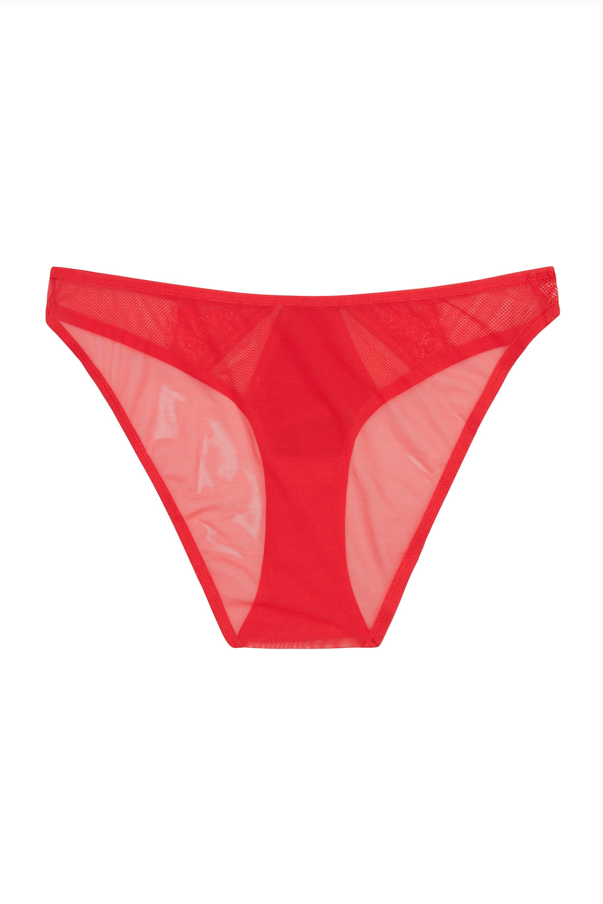 Zoya Brief - Image 3